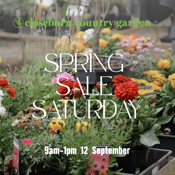 Spring Sale Saturday!
