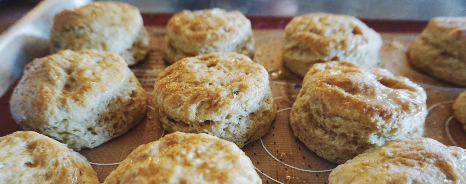 Rosemary Biscuits