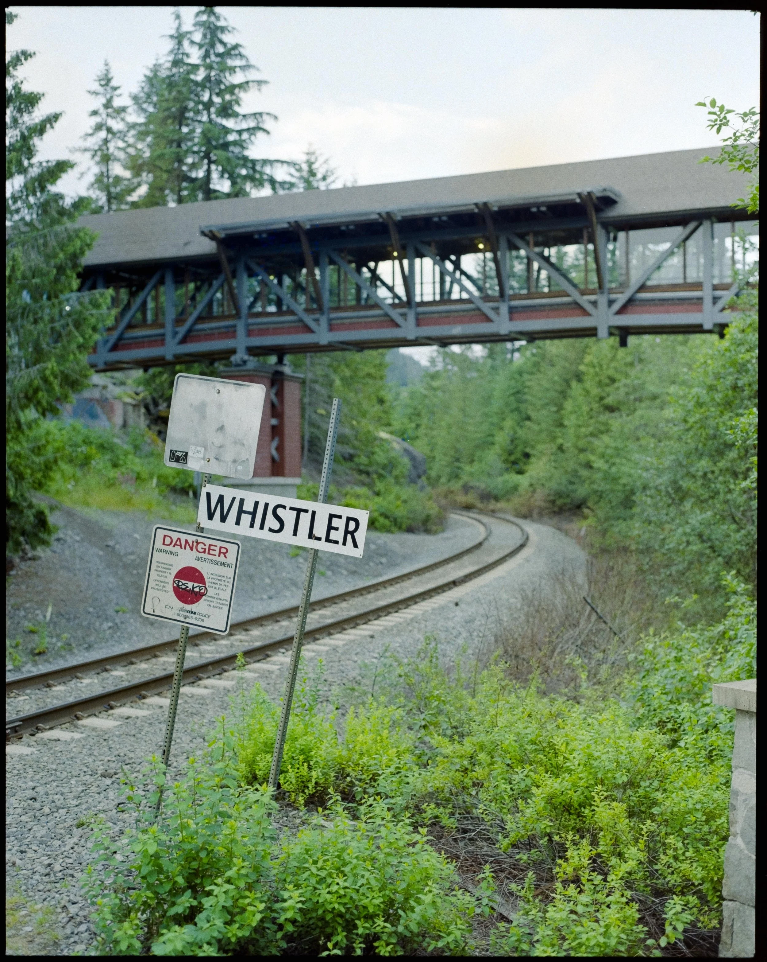 DSCF2636.jpg