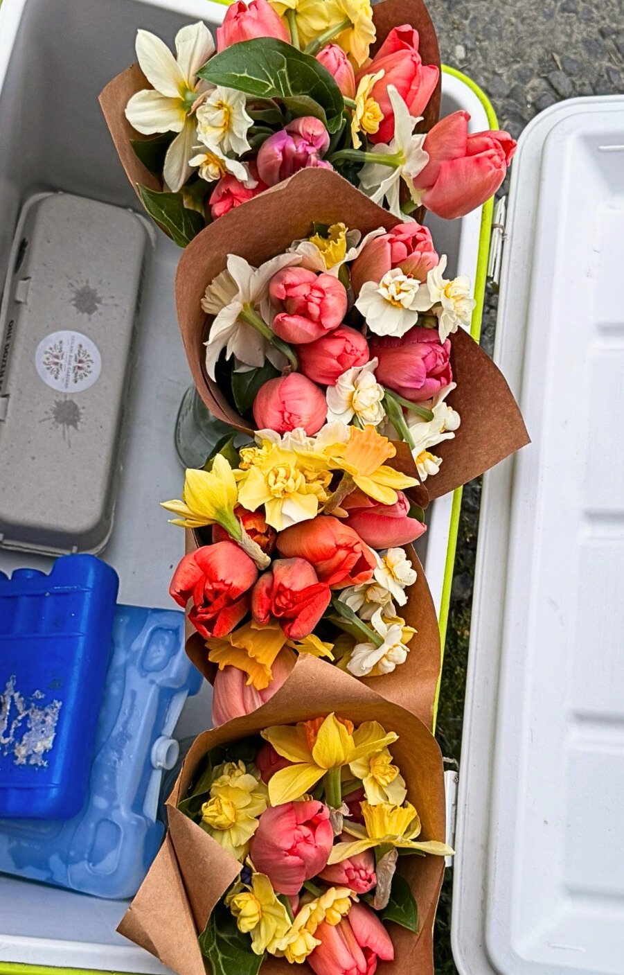 tulips-daffodils-eggs.jpg