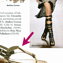 Wsa Today Features Apepazza