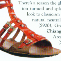 Wsa Today Features Palladium