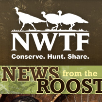 NWTF Mentions Shelton Vineyards