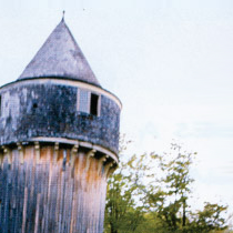 Bust Features Nicole