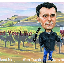 Drink What You Like Blogs About Shelton Vineyards