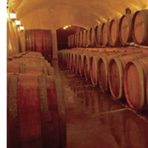 Touring And Tasting Spotlights Shelton Vineyards