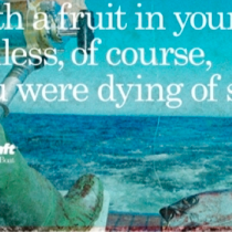 Cotton Boll Conspiracy Blogs About Wellcraft Marine