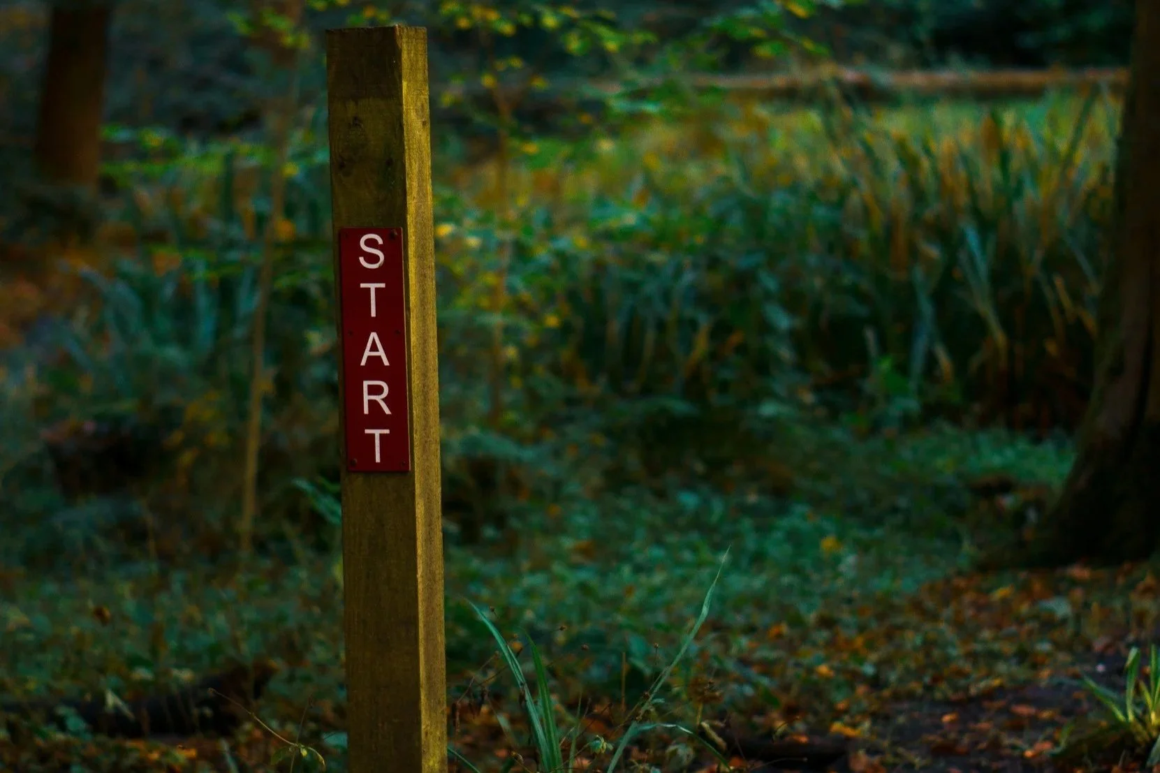 The Grace to Begin Again — Even in the Middle of the Year