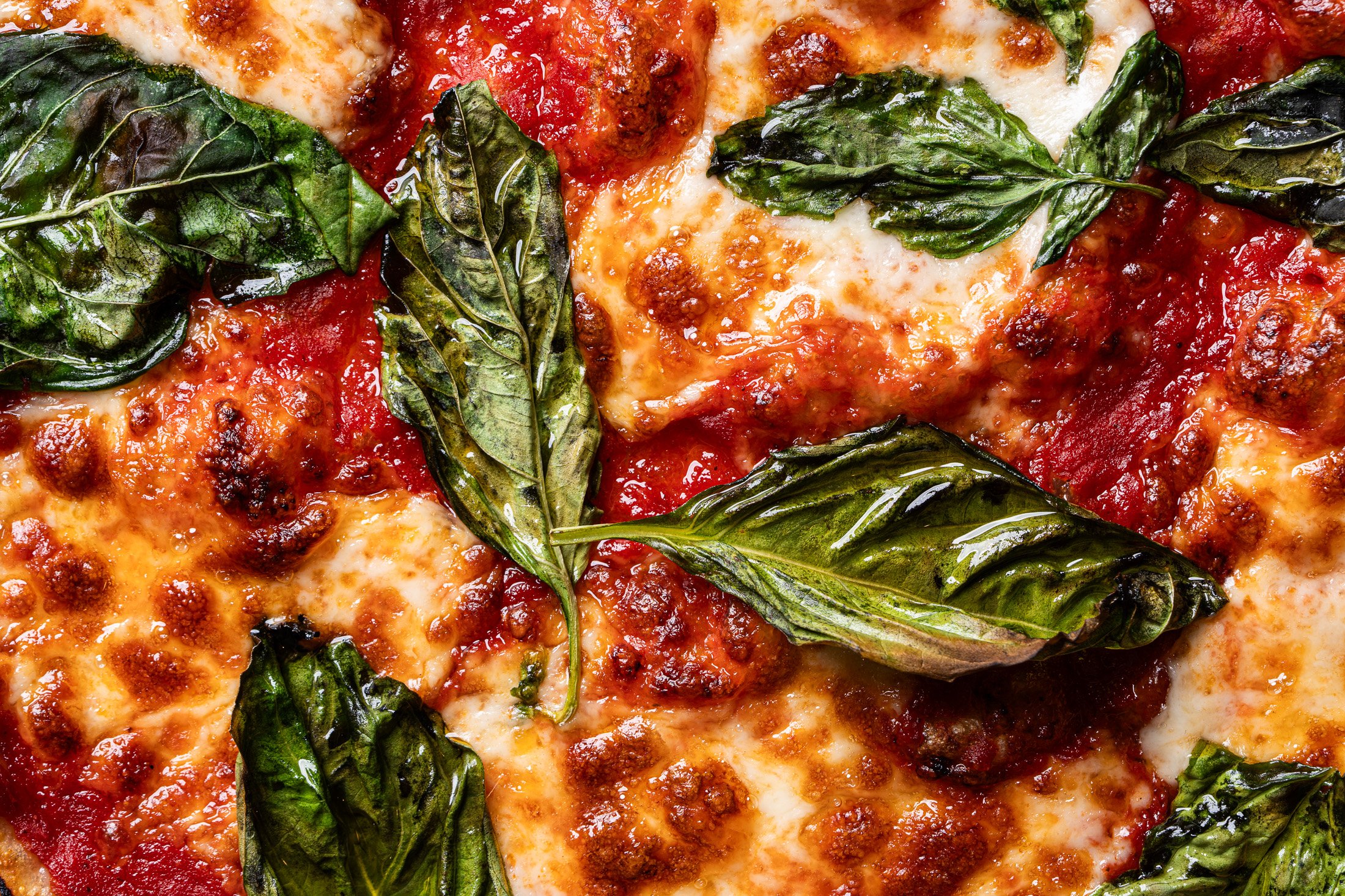 close up view of cheese, sauce and vibrant basil leaves
