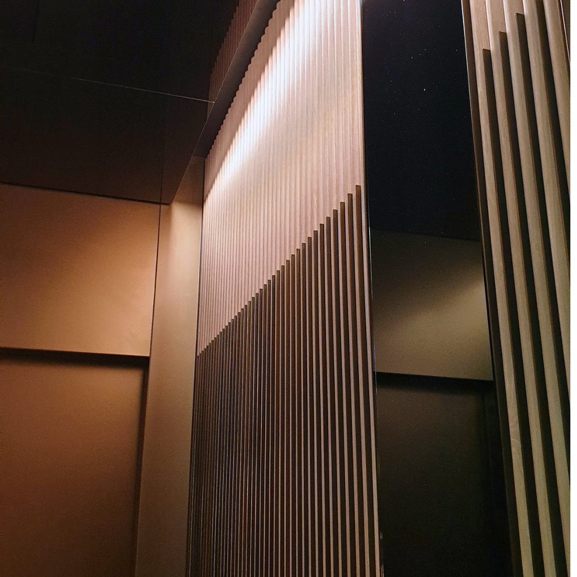 Australian Lift Protection Website Square 4.png