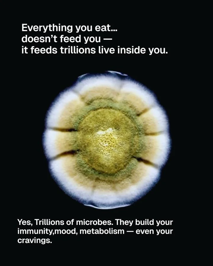 Everything you eat&hellip; 
doesn&rsquo;t feed you, it feeds the trillions living inside you. 🦠

Your gut microbes shape how you feel, think, and even crave.

They control your mood, immunity, metabolism and more.

Start feeding them right. 🥦

Beca