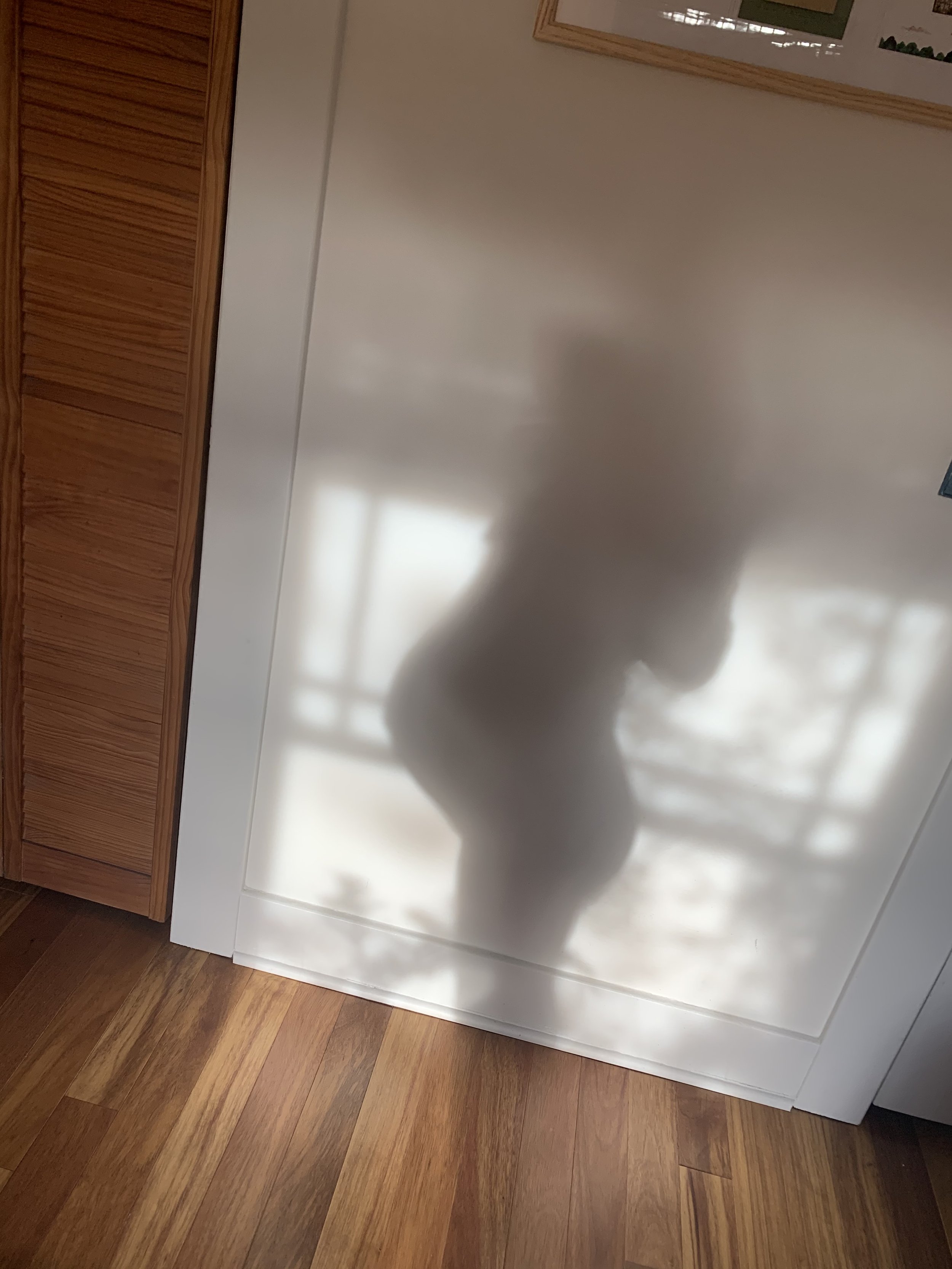 Sacred Birth Prenatal Yoga