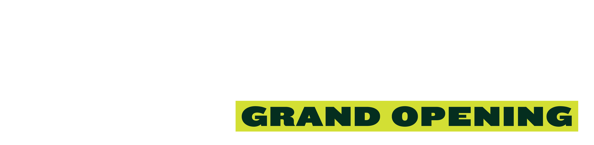 Text announcing the grand opening of Unleashed, described as a wag-worthy event, with 'Grand Opening' highlighted in green.