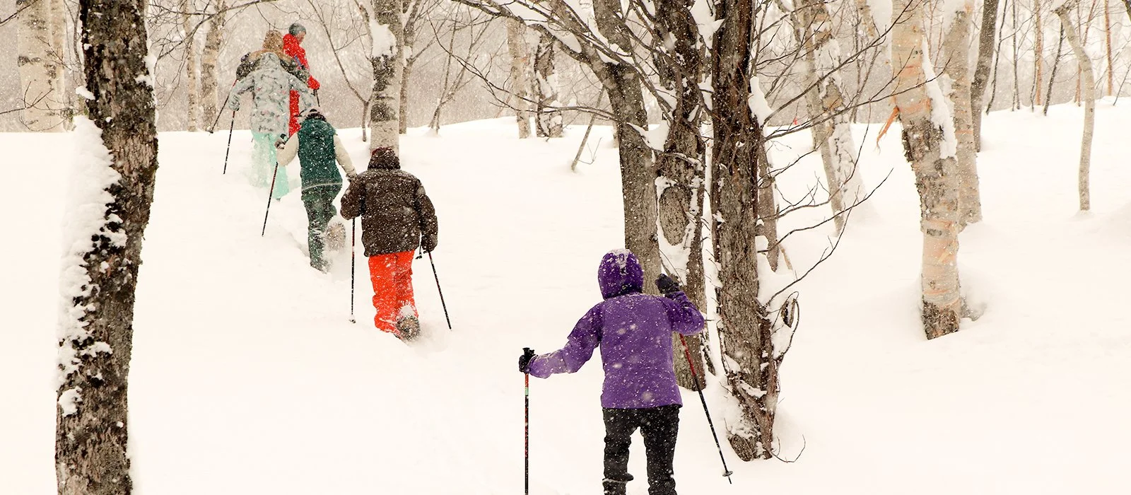 snow-shoe-tour.jpg