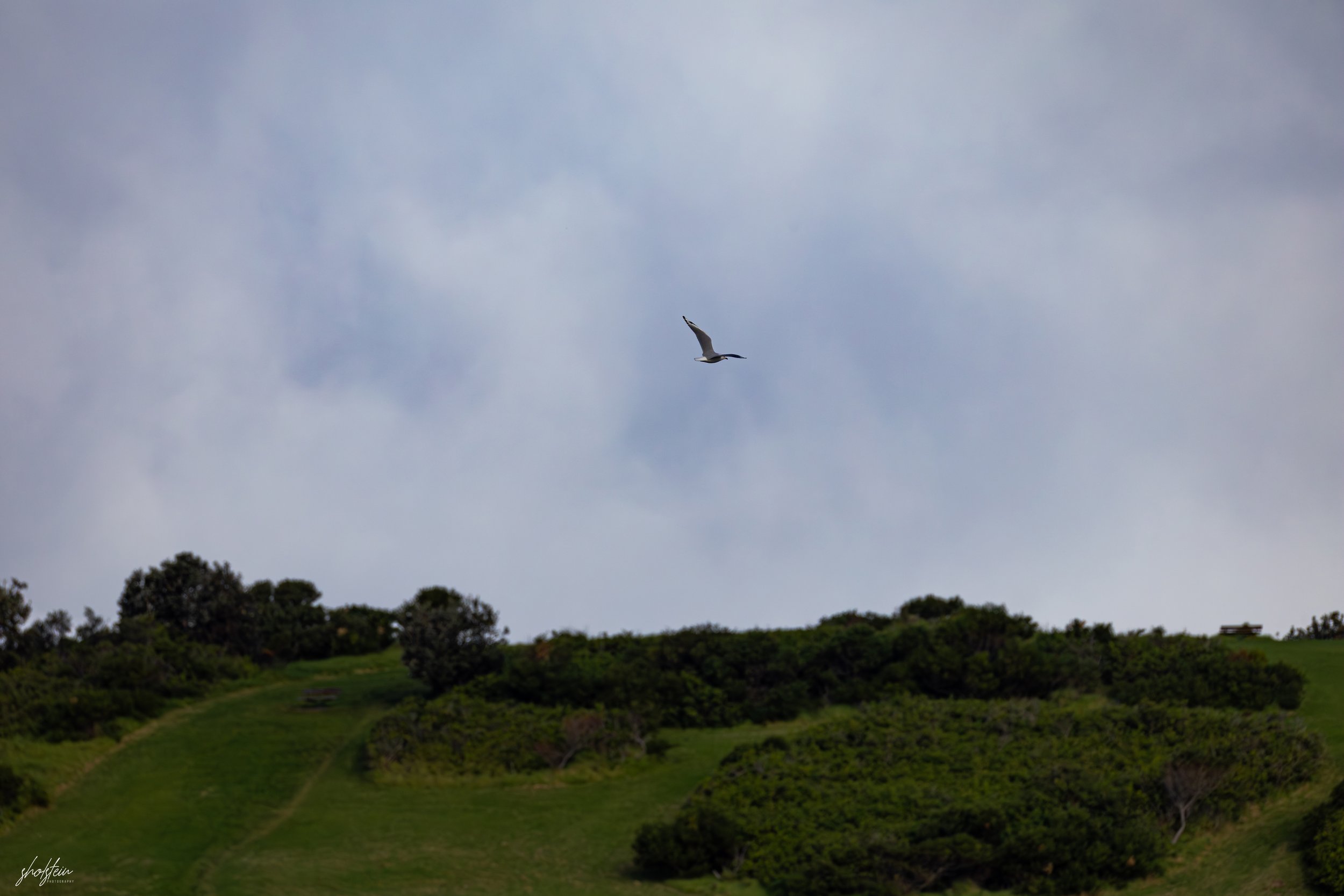 Gerringong 5-7-26-1-31-l.jpg