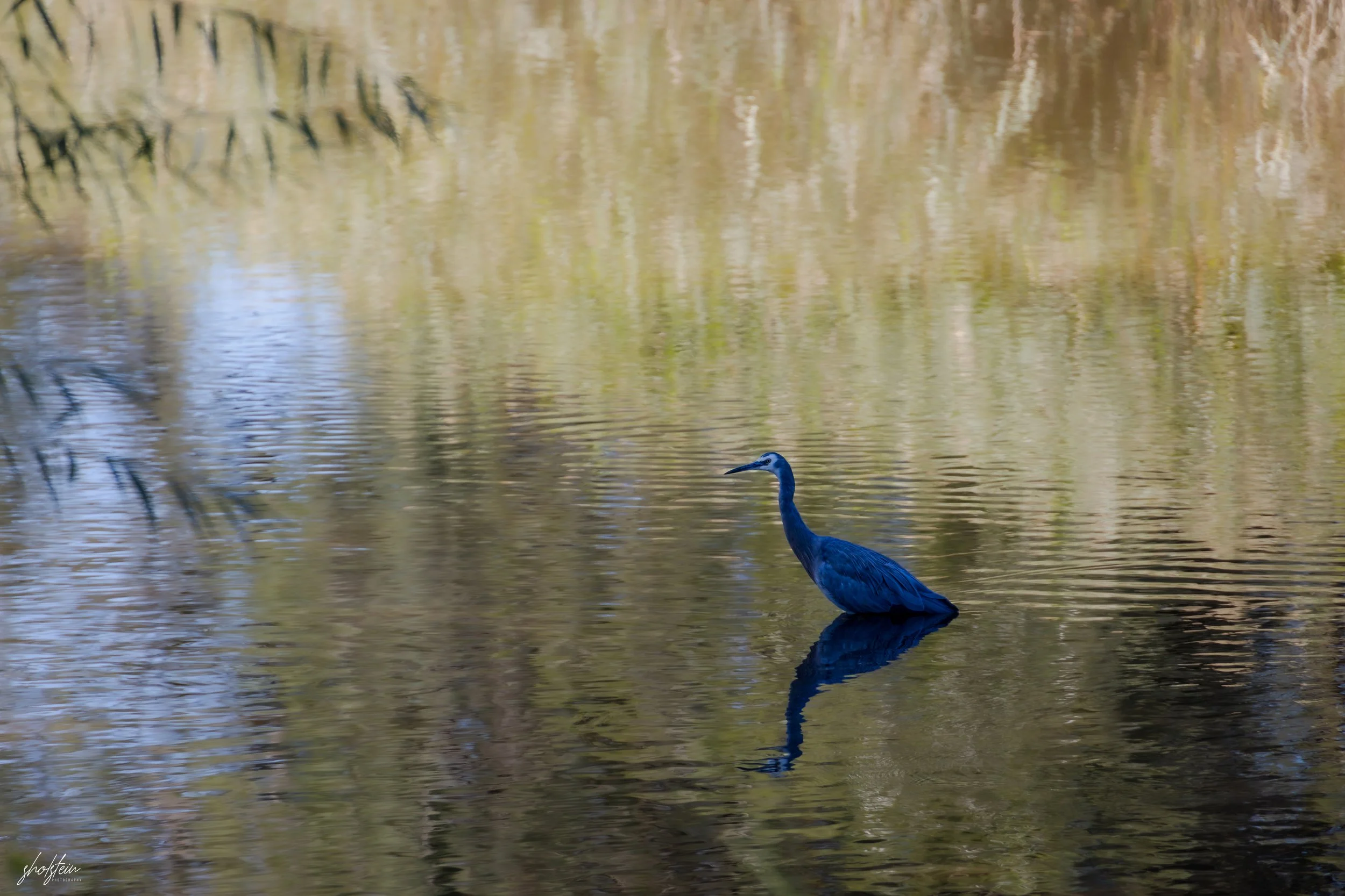 Bathurst 14-3-26-1-5-l.jpg