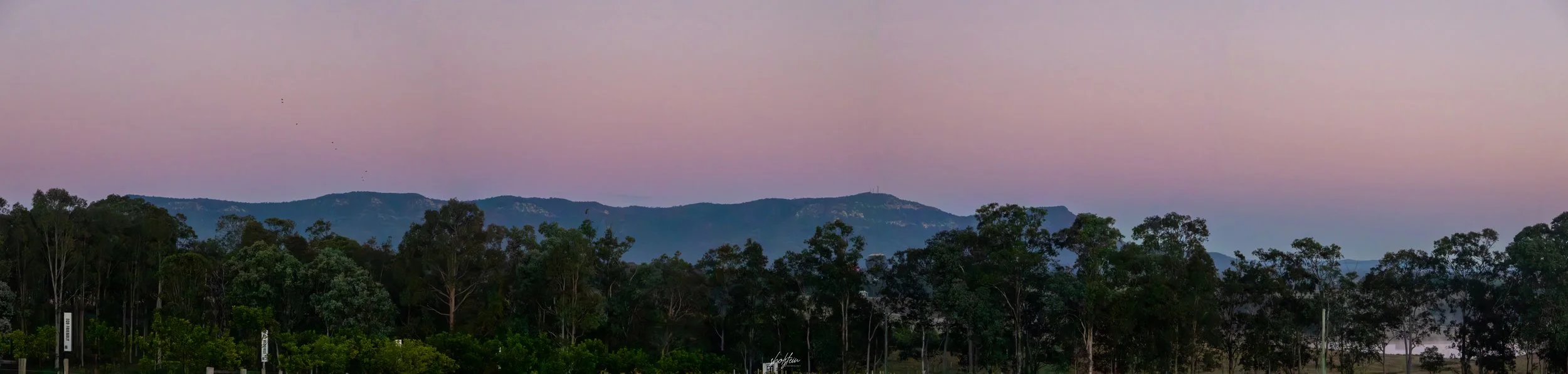 Hunter Valley 5-8-6-26-1-4-m.jpg