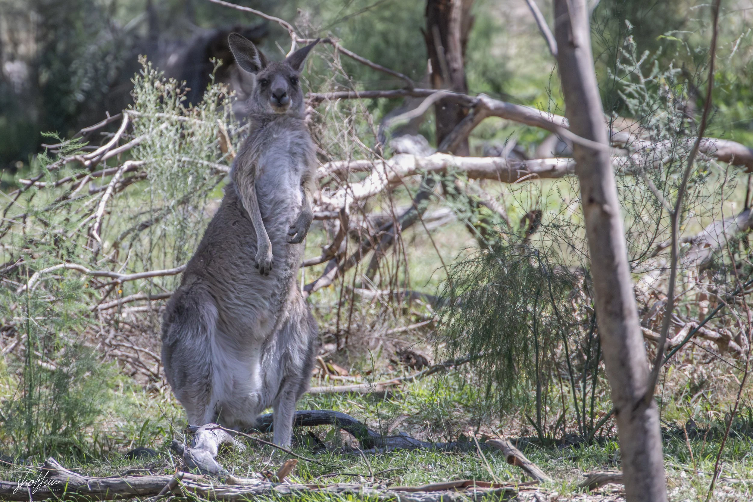 Bathurst 14-3-26-1-32-l.jpg
