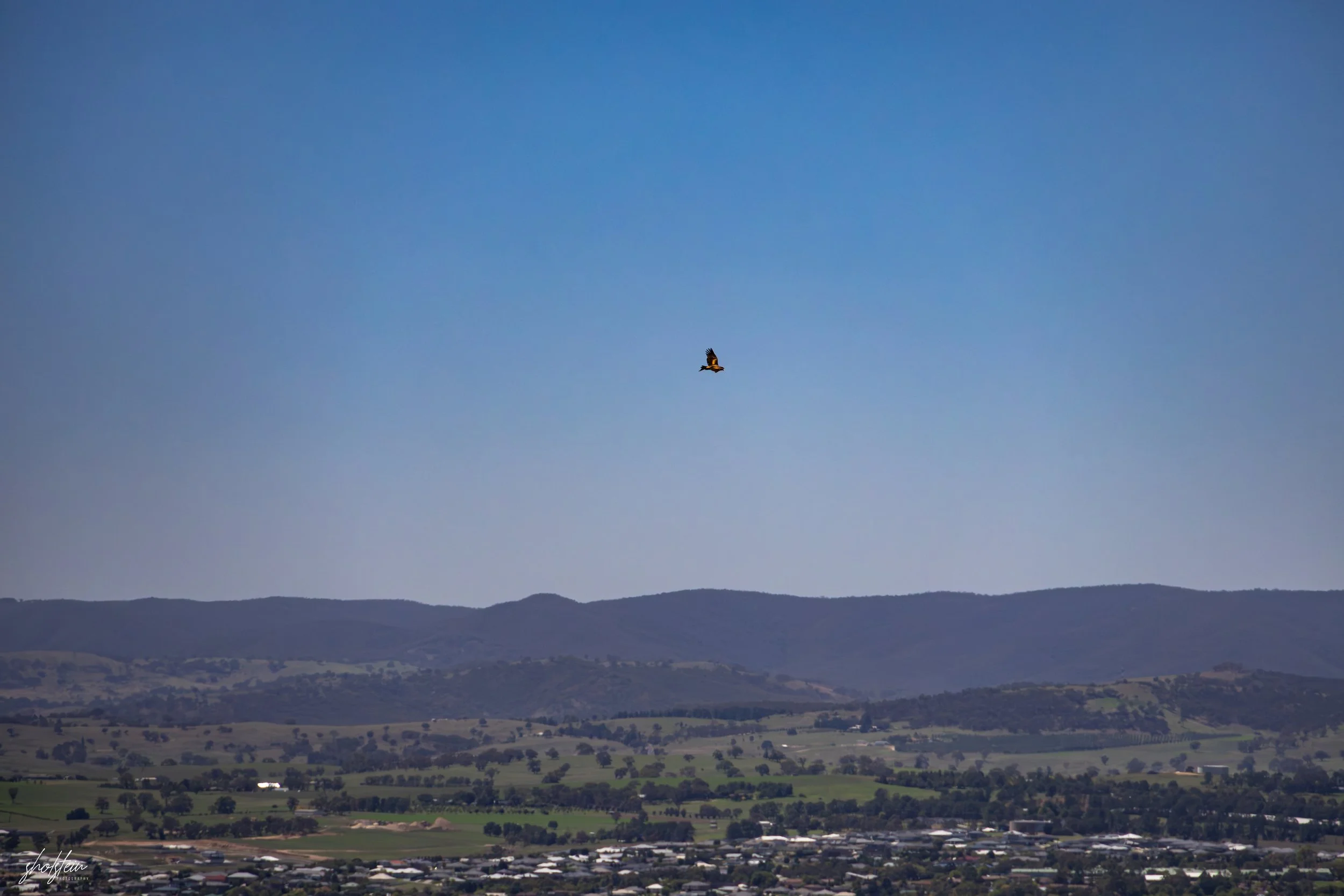 Bathurst 14-3-26-1-38-l.jpg