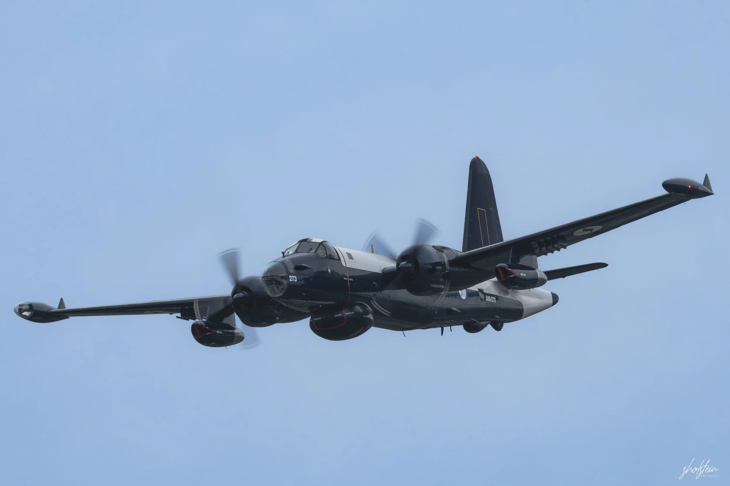 Wings Over Shellharbour 17-5-26-1-320-l.jpg