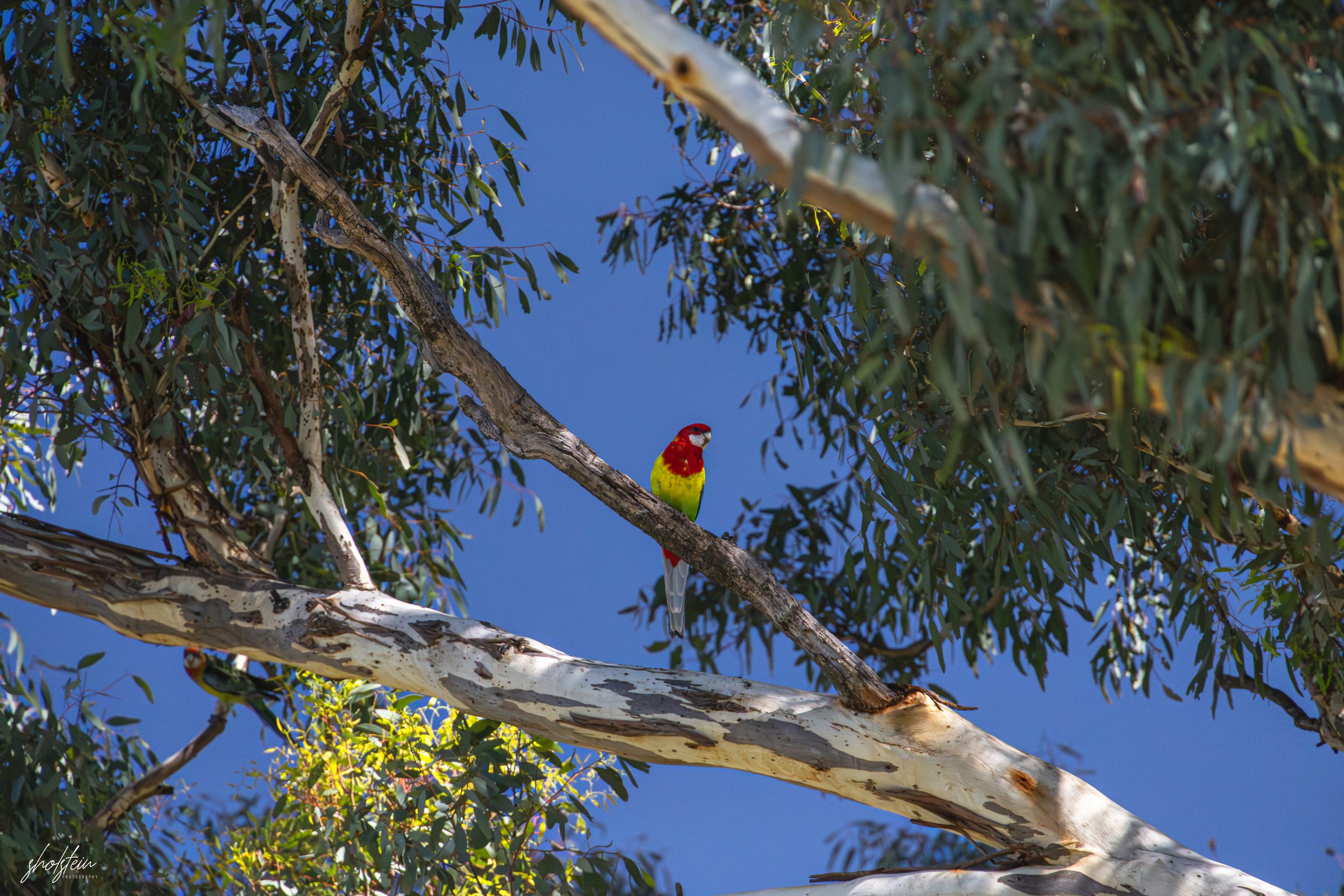 Bathurst 14-3-26-1-40-m.jpg