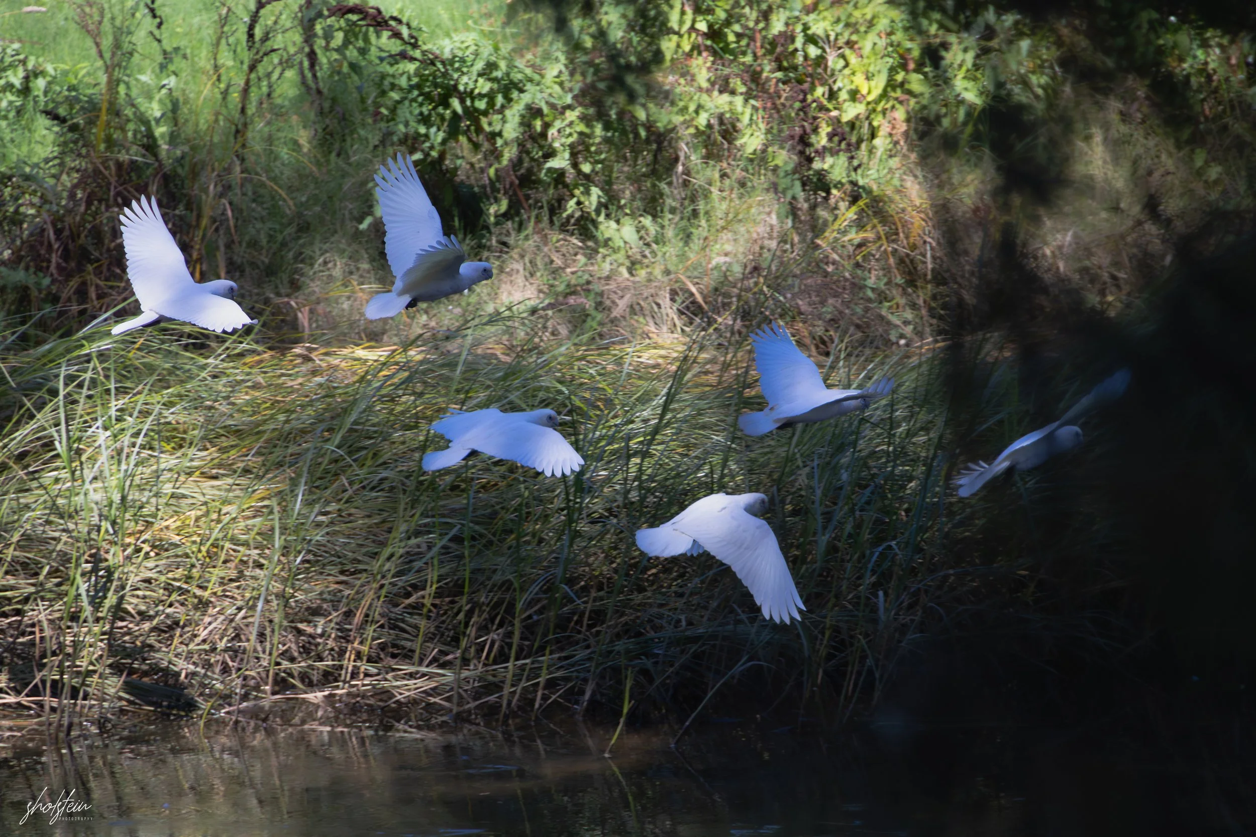 Bathurst 14-3-26-1-9-l.jpg