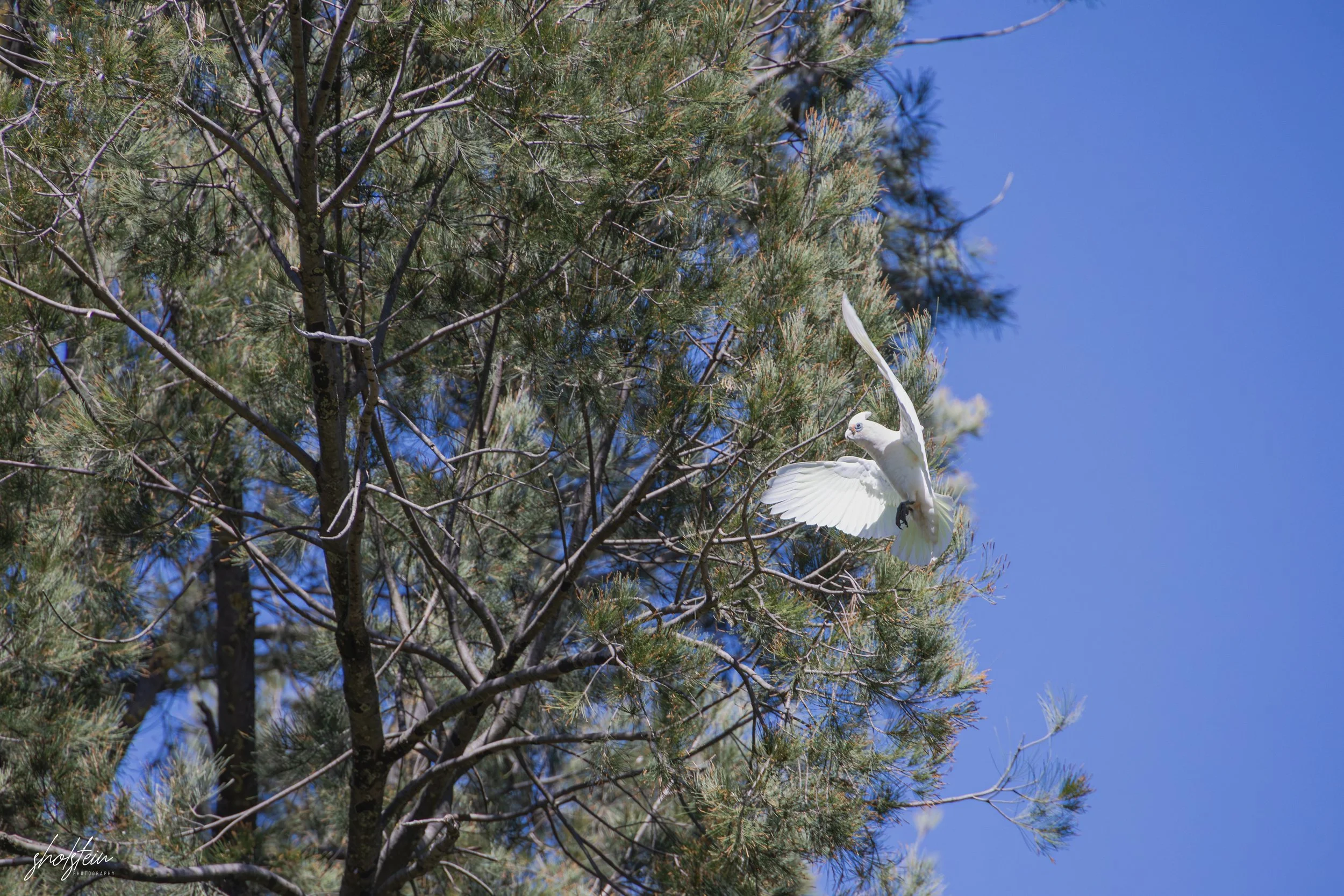 Bathurst 14-3-26-1-21-l.jpg