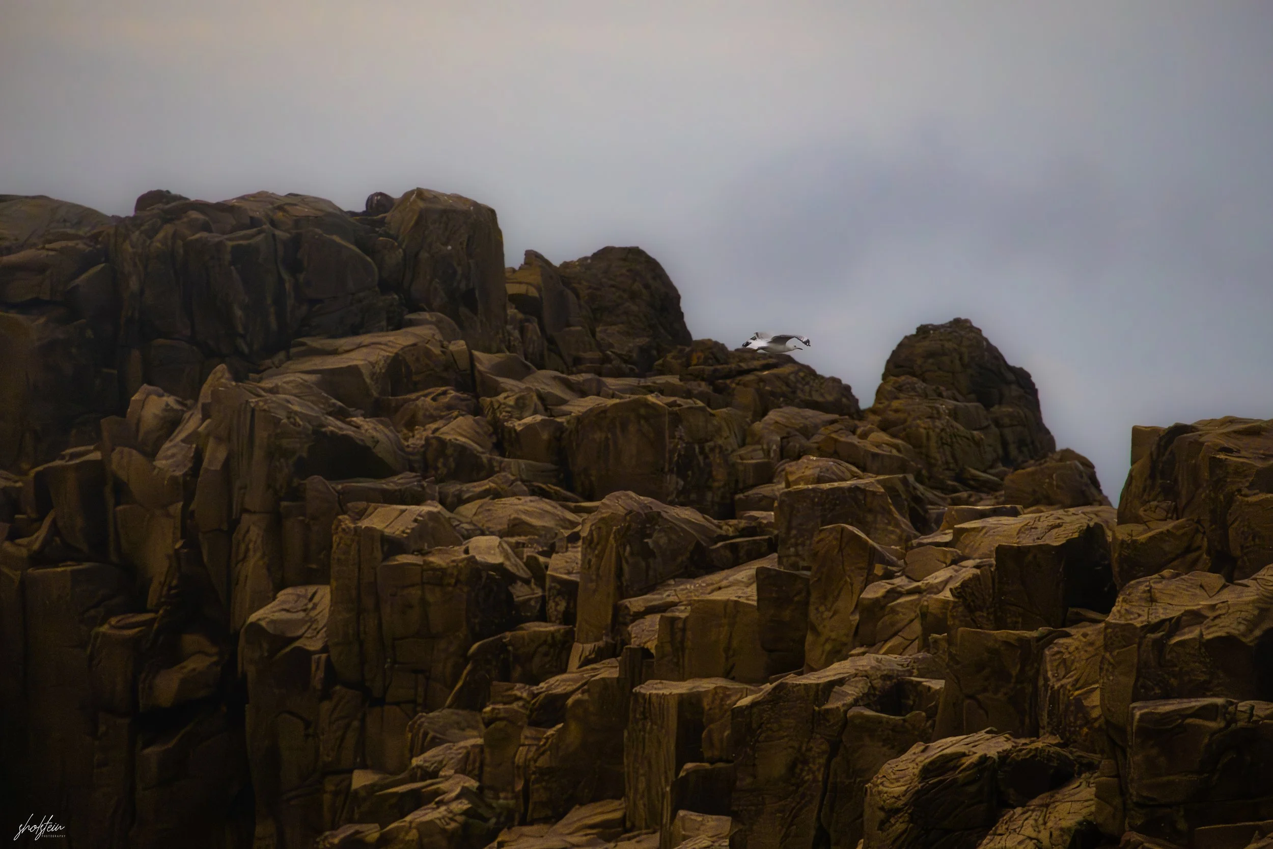 Bombo Headland Quarry 26-4-26-1-20-l.jpg