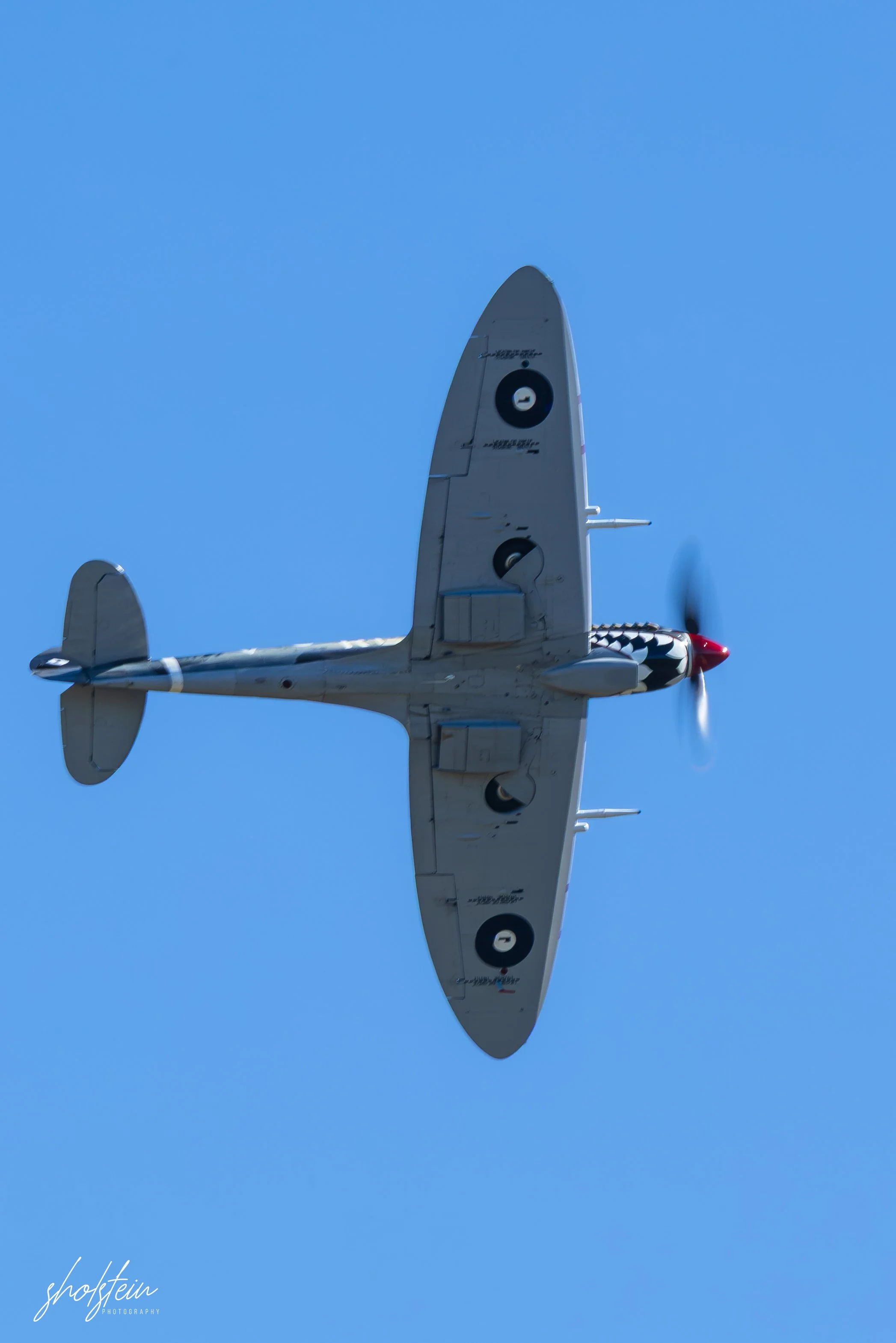 Warbirds Over Scone 29-3-26-1-377-l.jpg