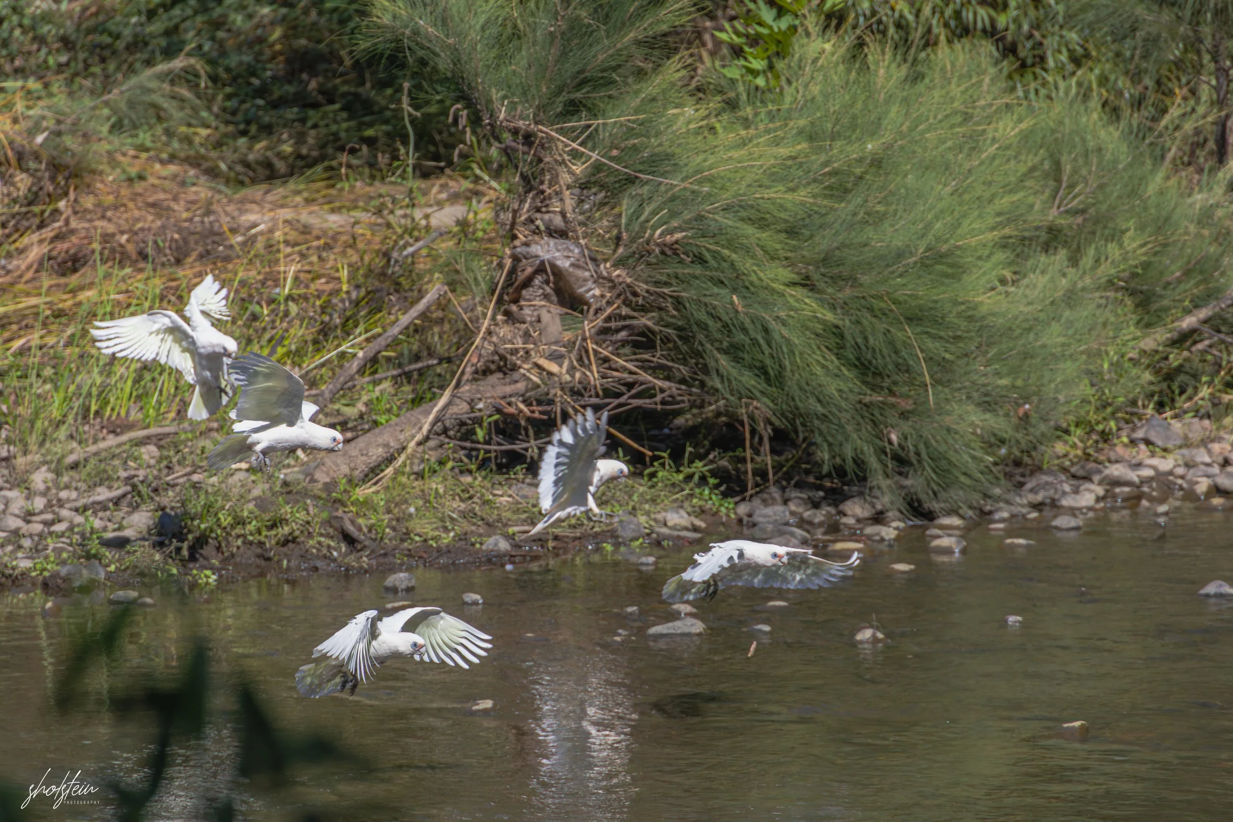 Bathurst 14-3-26-1-11-l.jpg