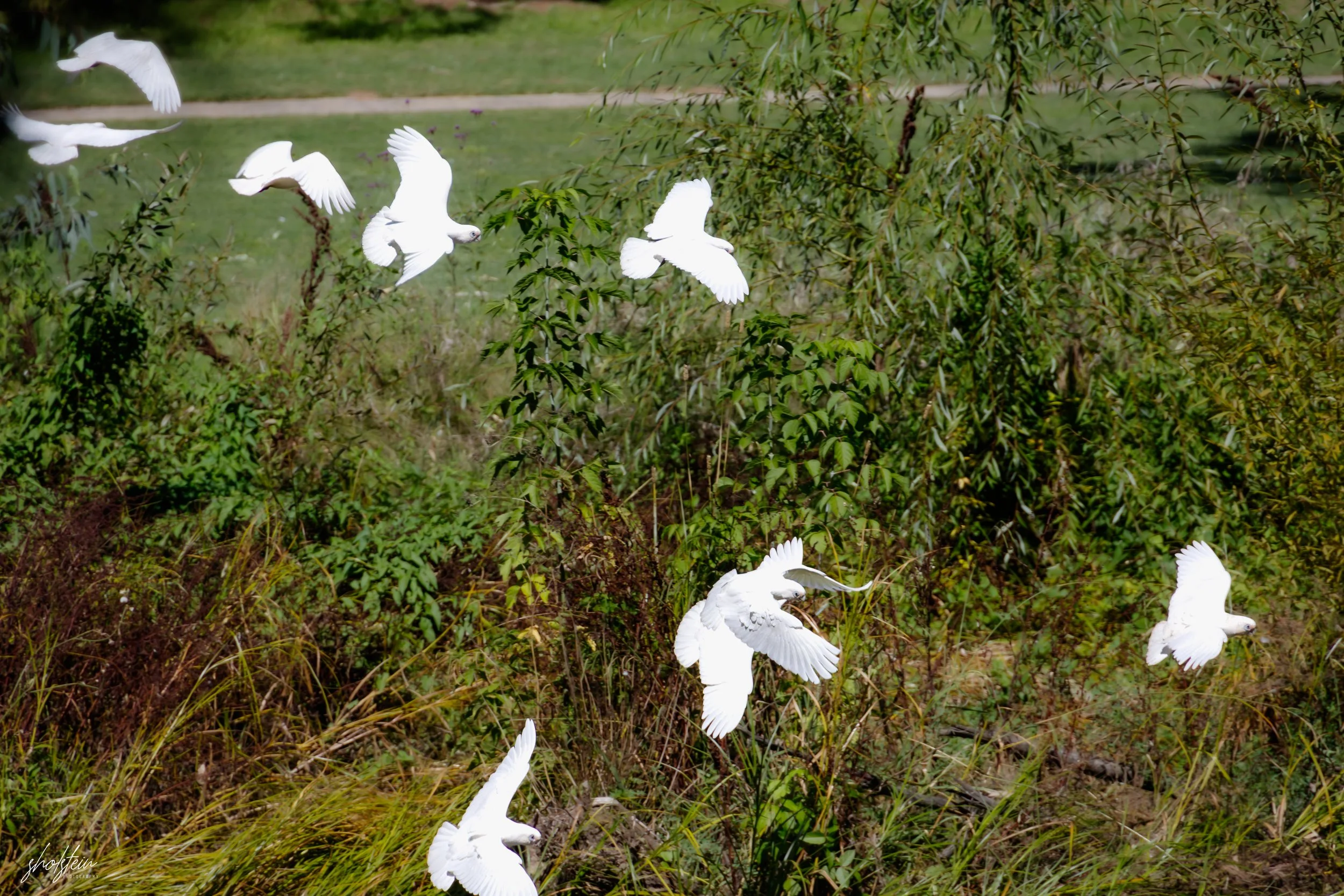Bathurst 14-3-26-1-10-l.jpg