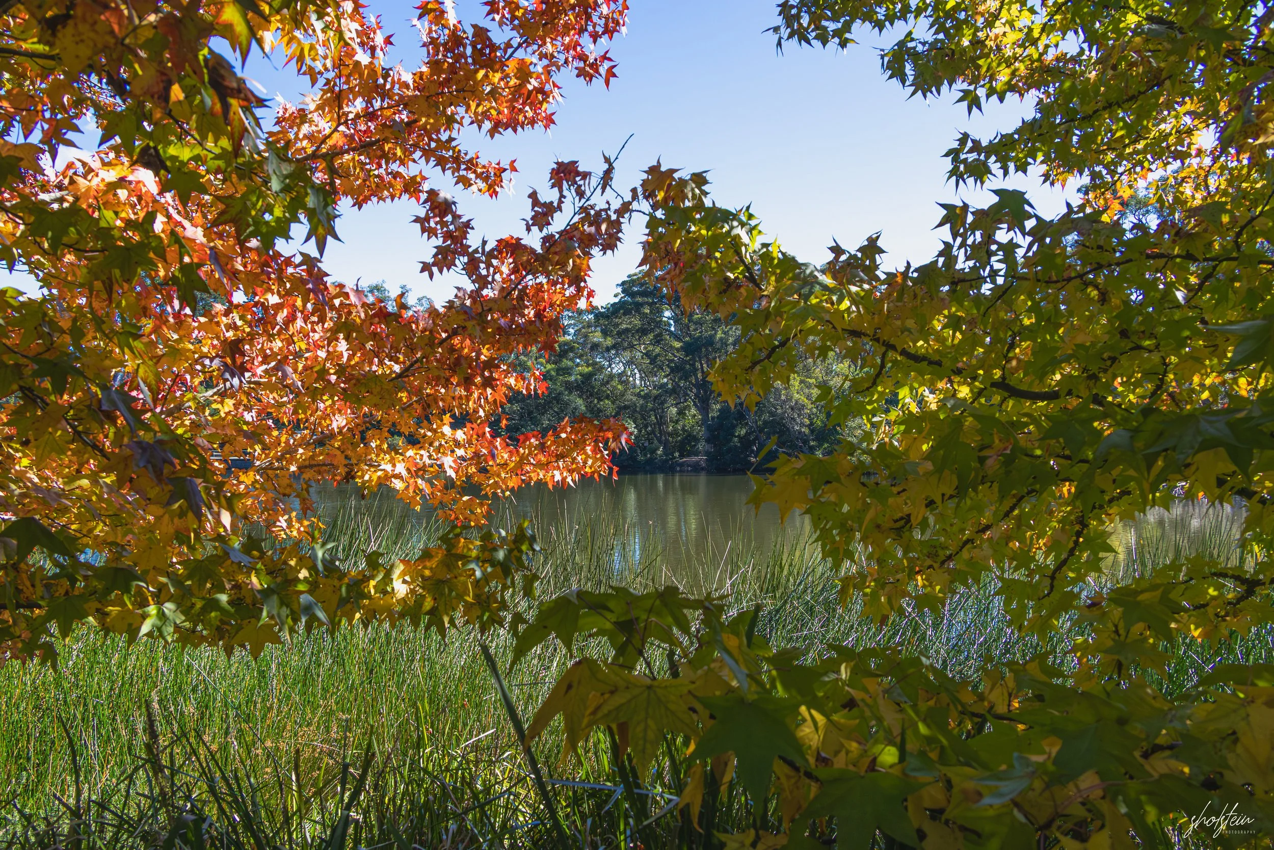 Bowral-Mittagong 26-4-26-1-18-m.jpg
