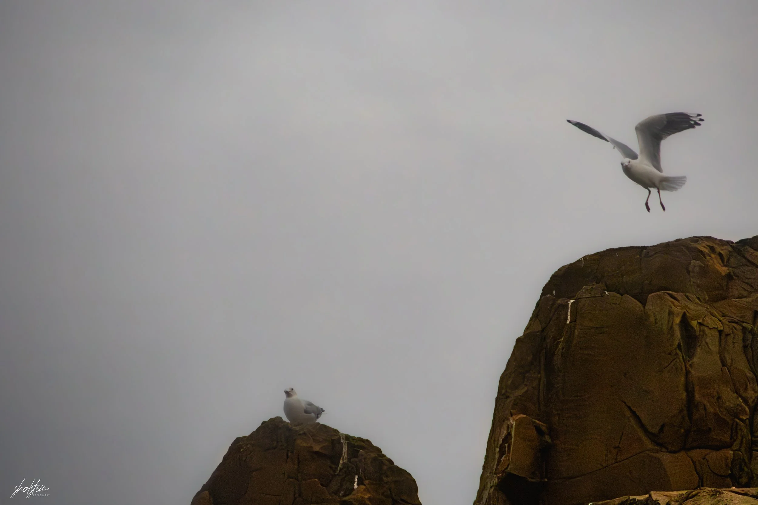 Bombo Headland Quarry 26-4-26-1-21-l.jpg