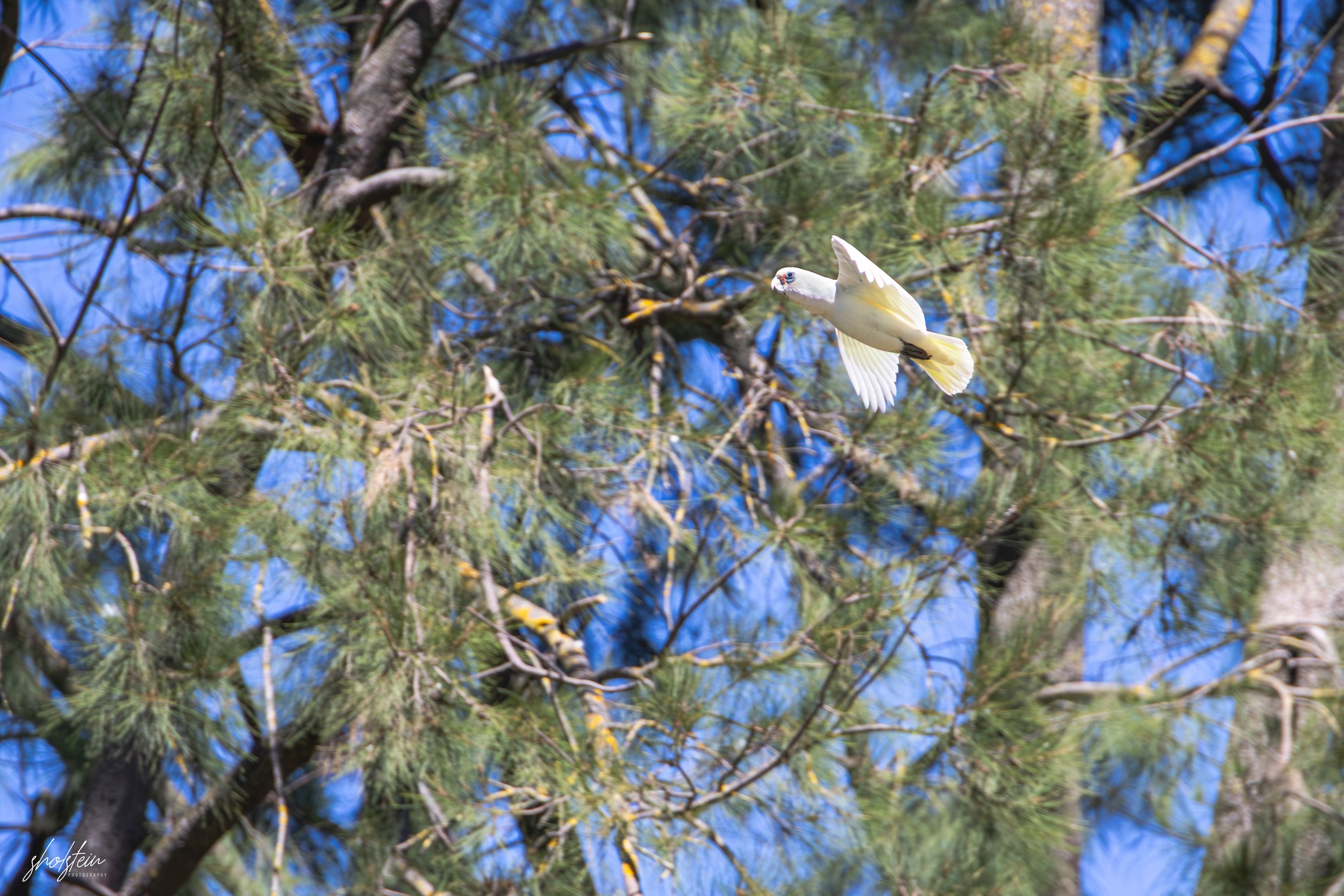 Bathurst 14-3-26-1-18-l.jpg