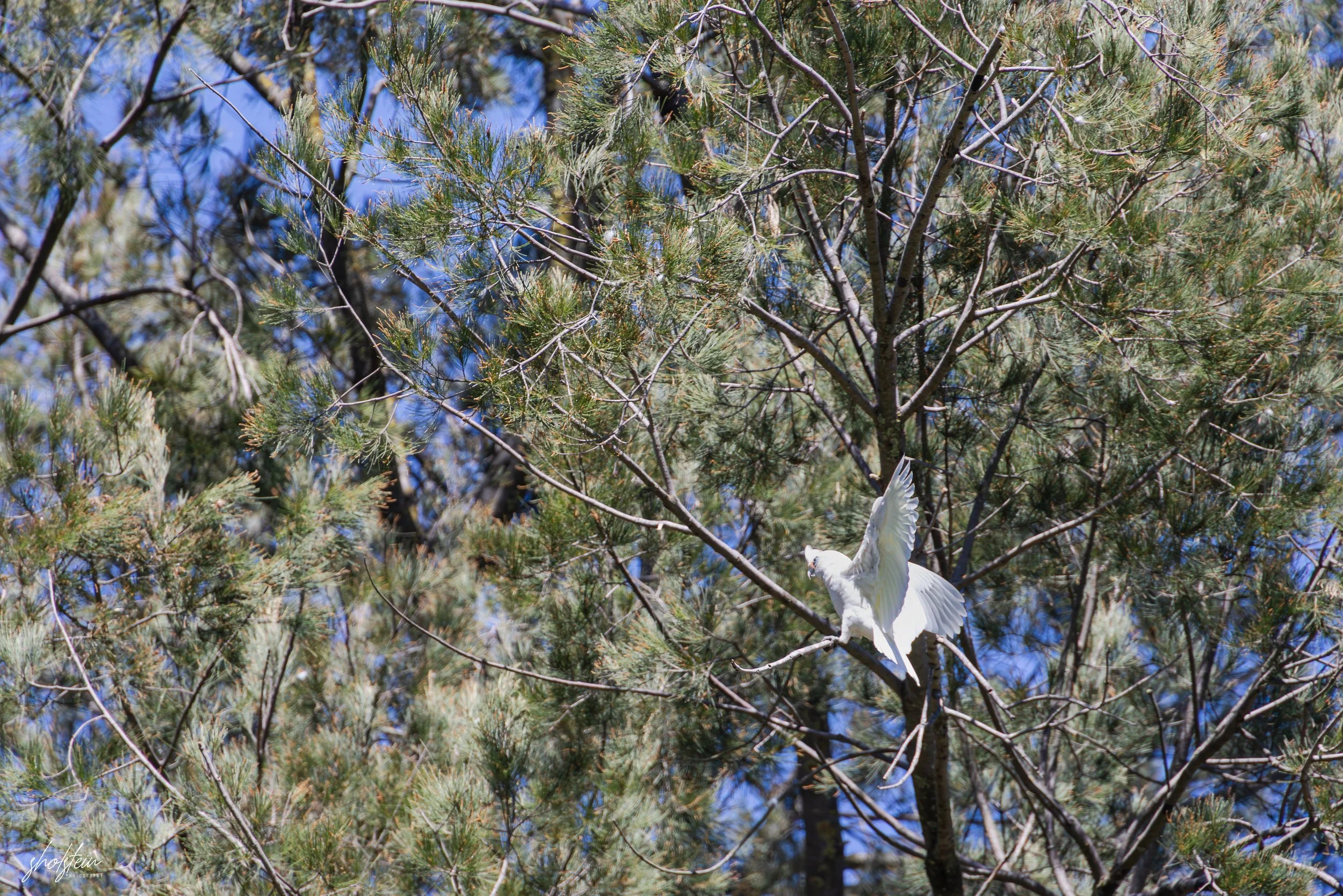 Bathurst 14-3-26-1-23-l.jpg