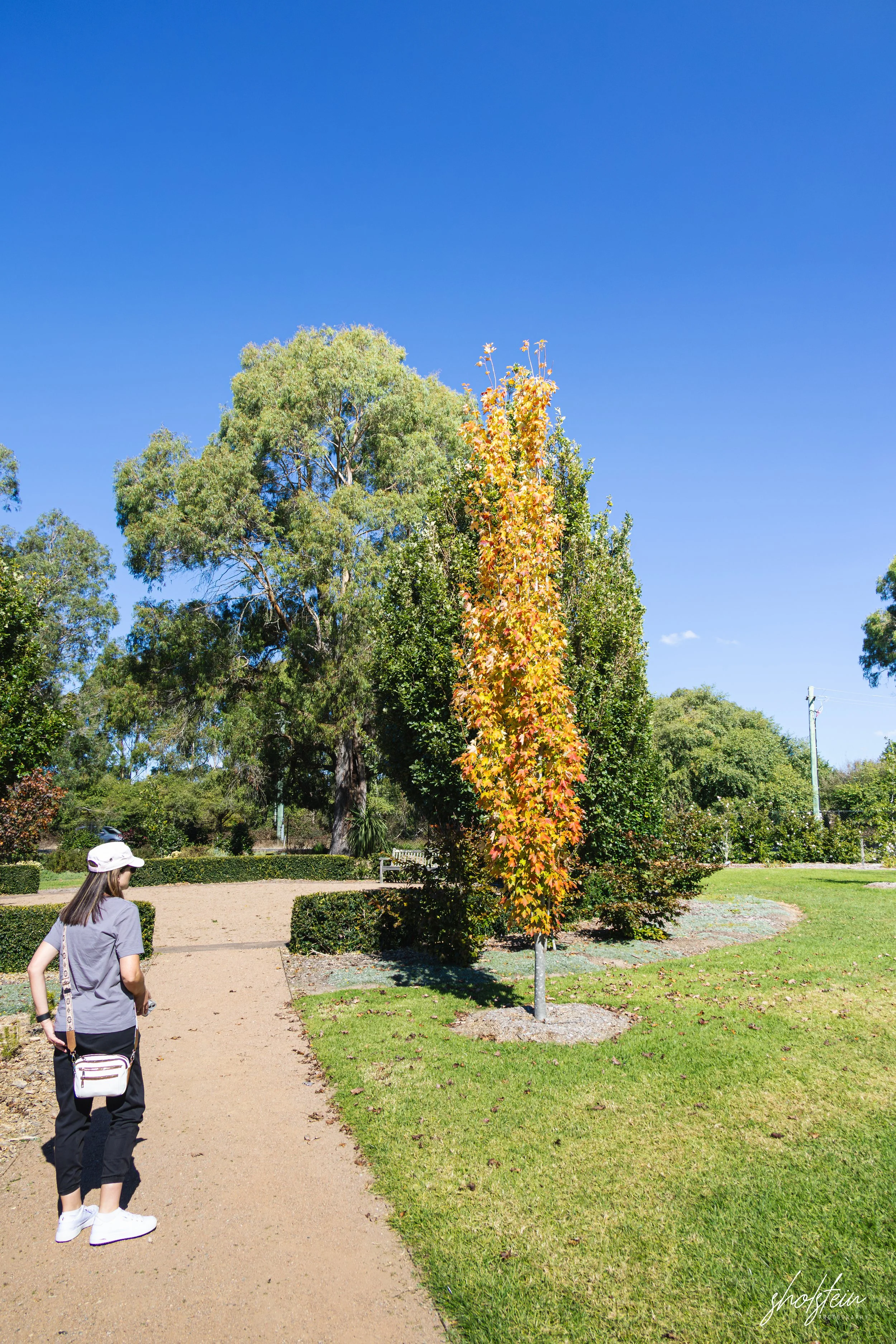 Bowral-Mittagong 26-4-26-1-15-m.jpg