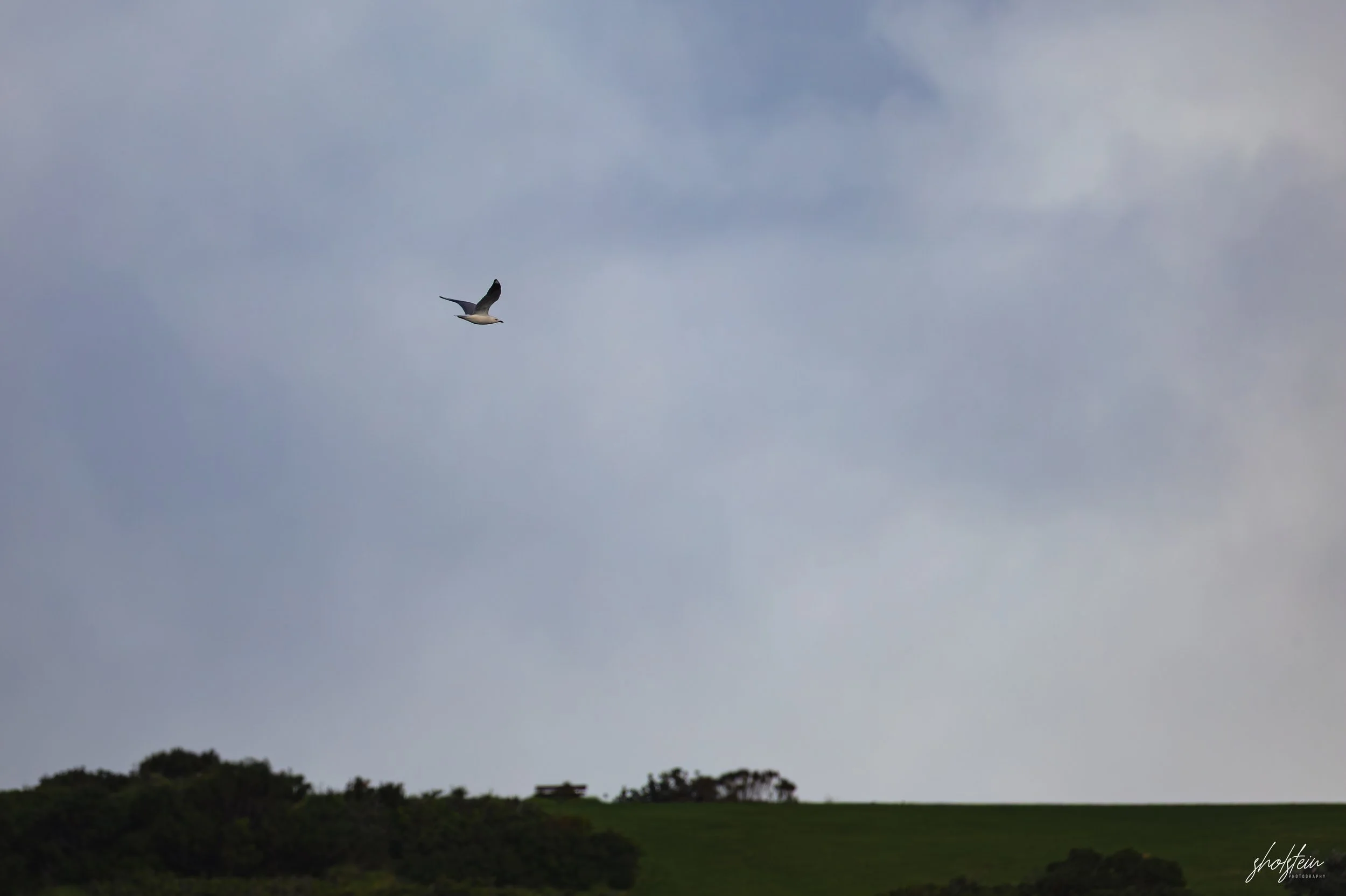 Gerringong 5-7-26-1-32-l.jpg