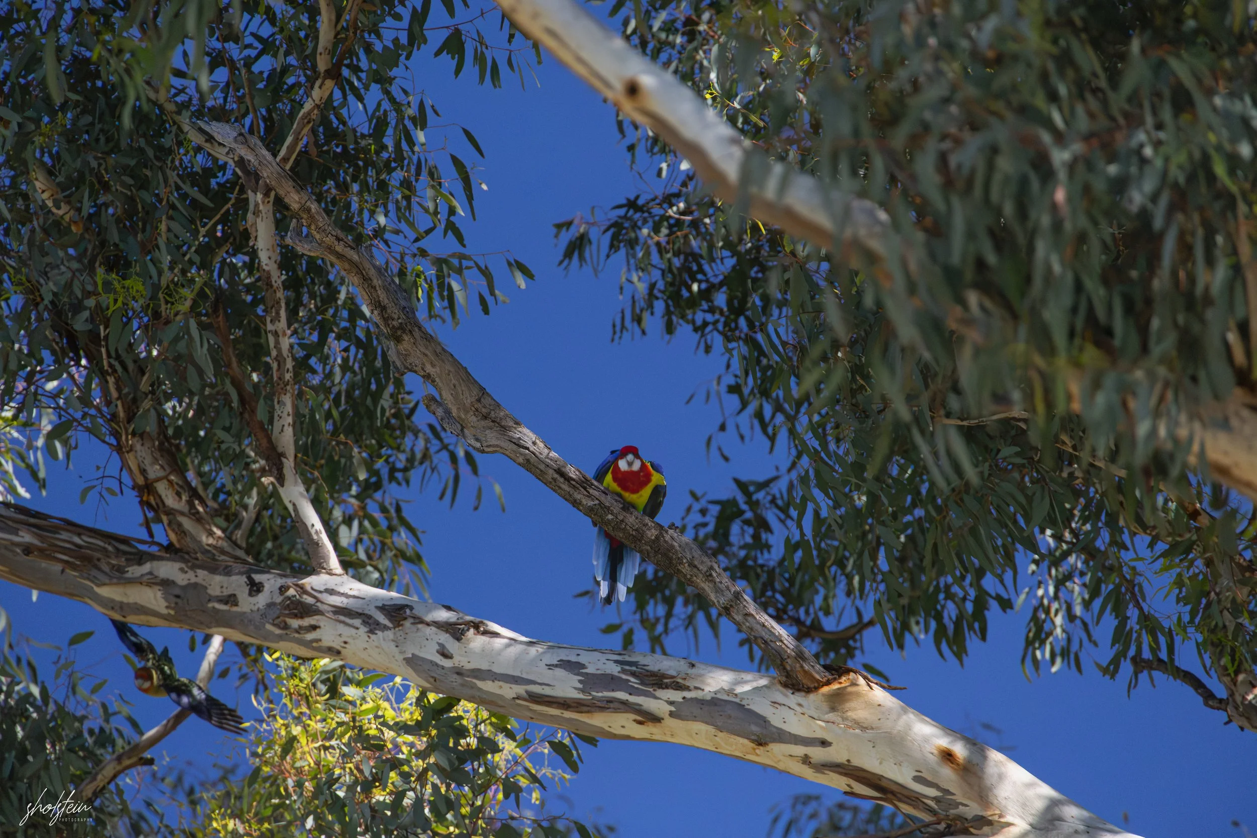 Bathurst 14-3-26-1-41-l.jpg