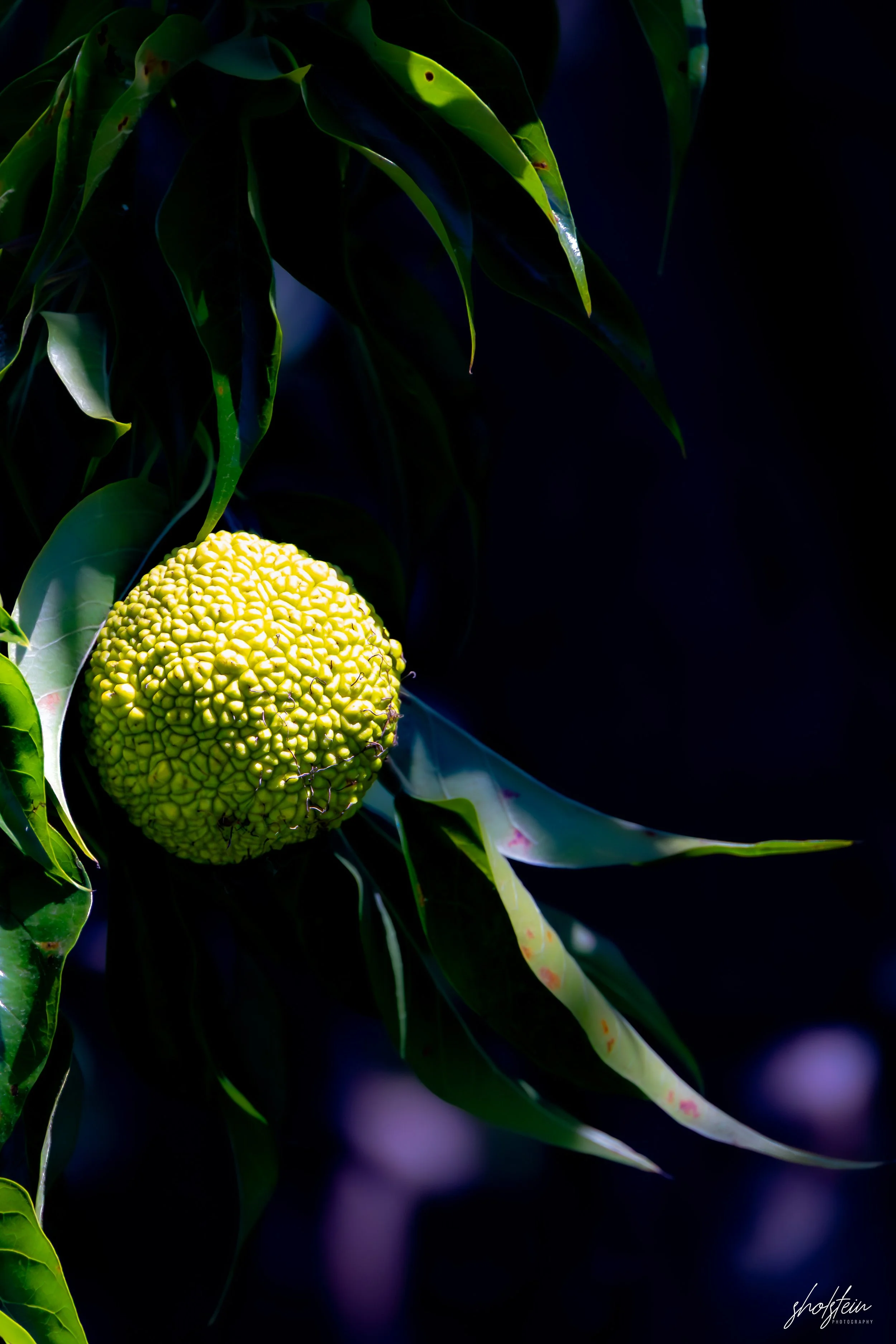 Bathurst 14-3-26-1-33-l.jpg