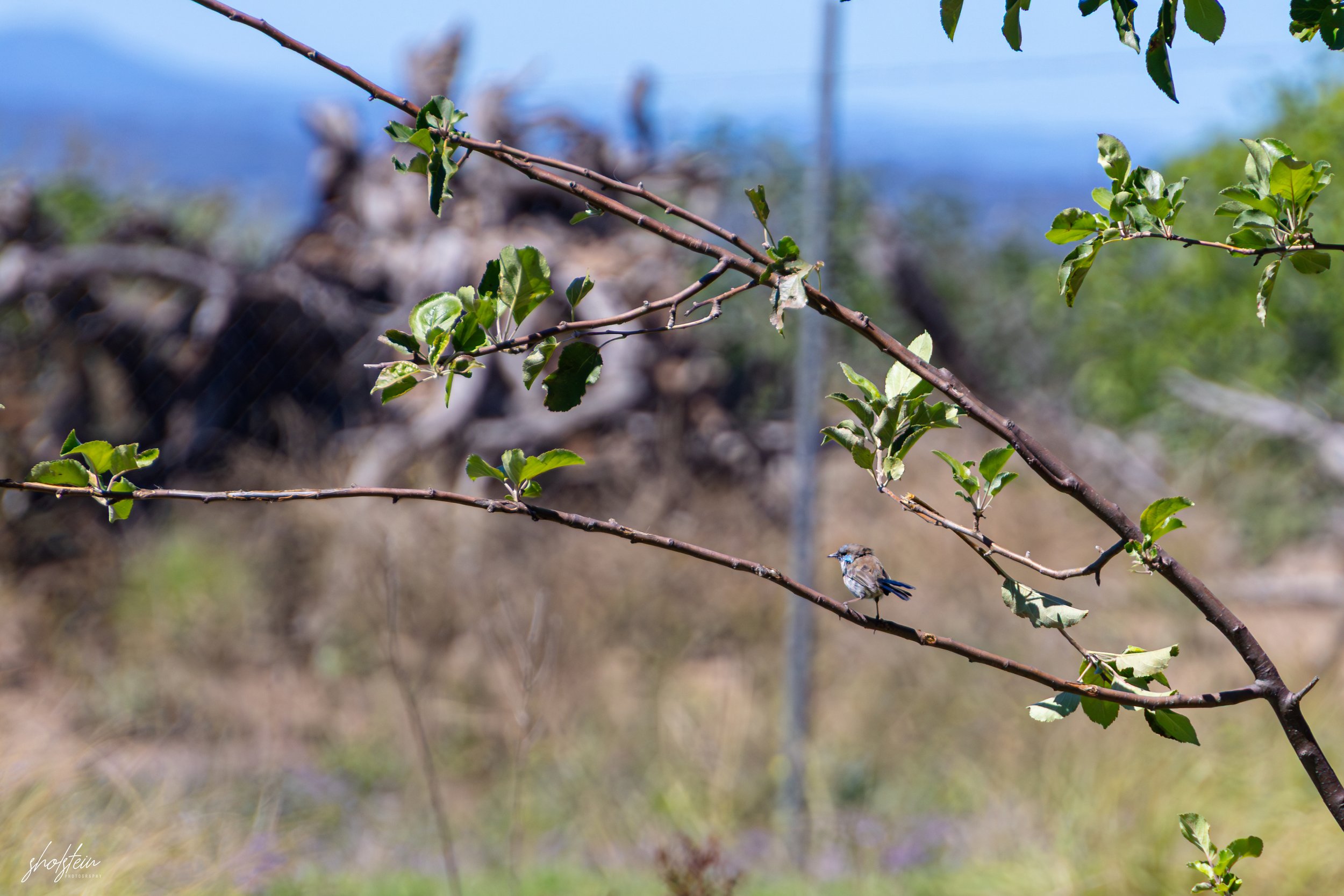 Bathurst 14-3-26-1-25-l.jpg