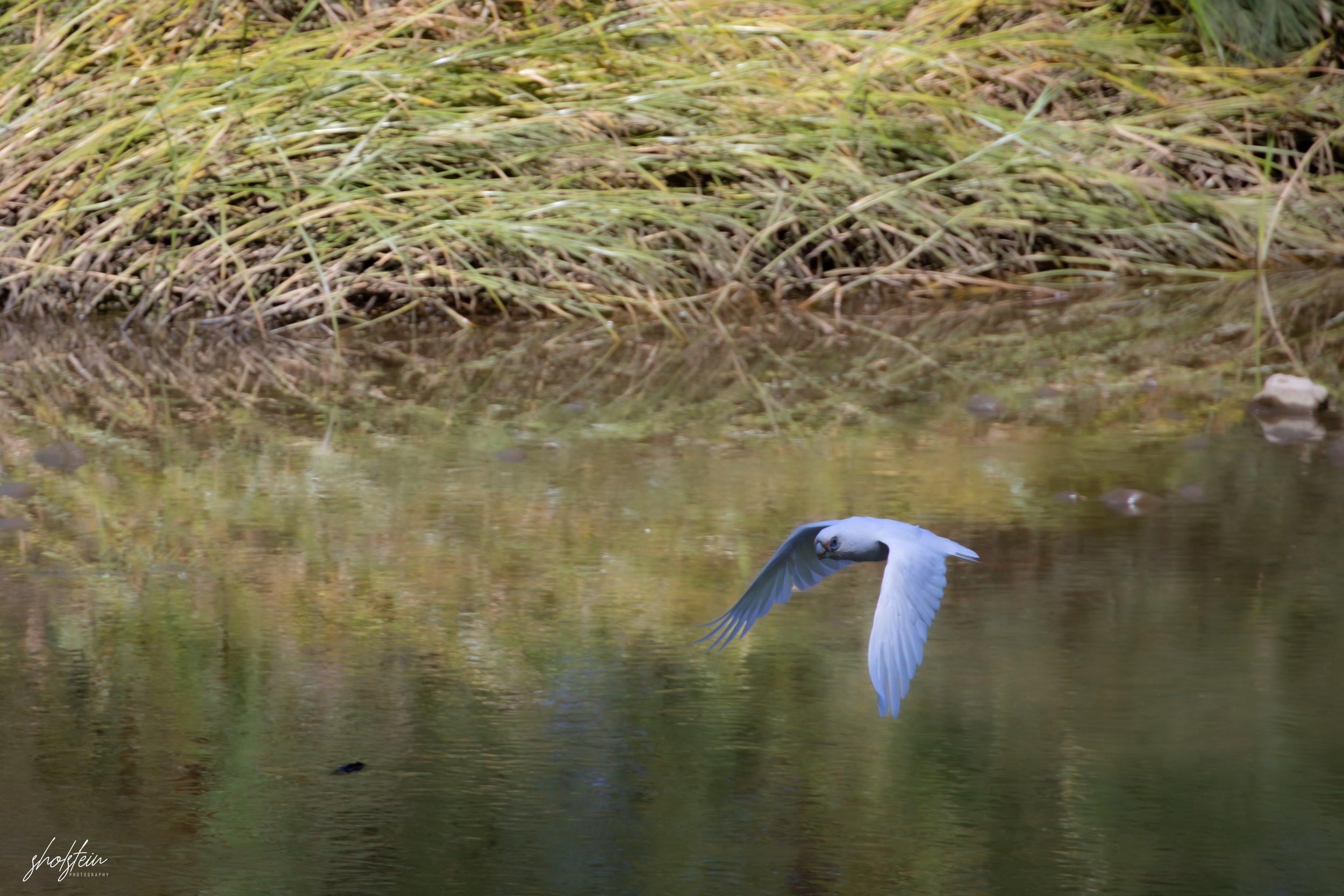 Bathurst 14-3-26-1-7-l.jpg