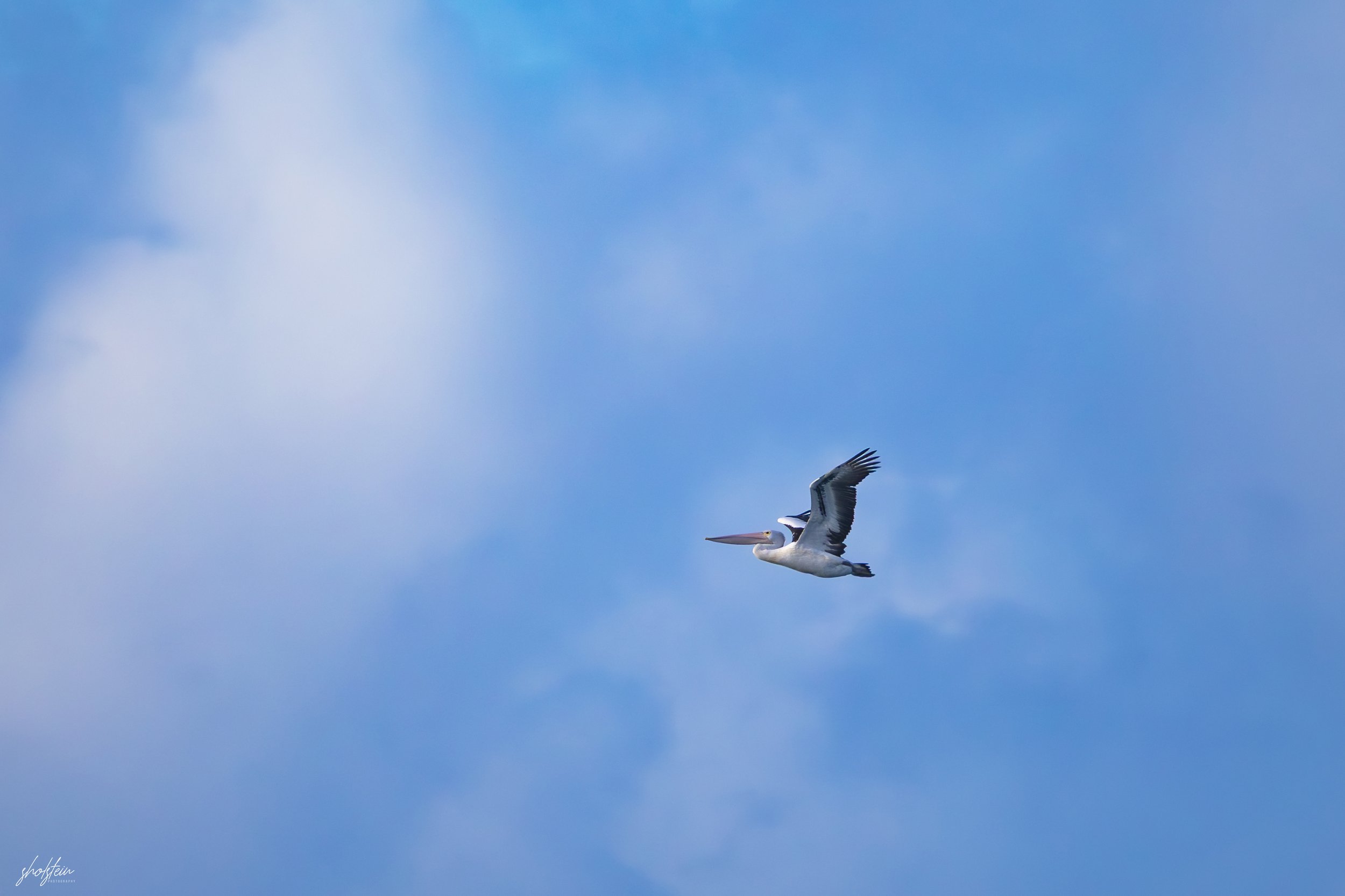 Gerringong 5-7-26-1-16-l.jpg