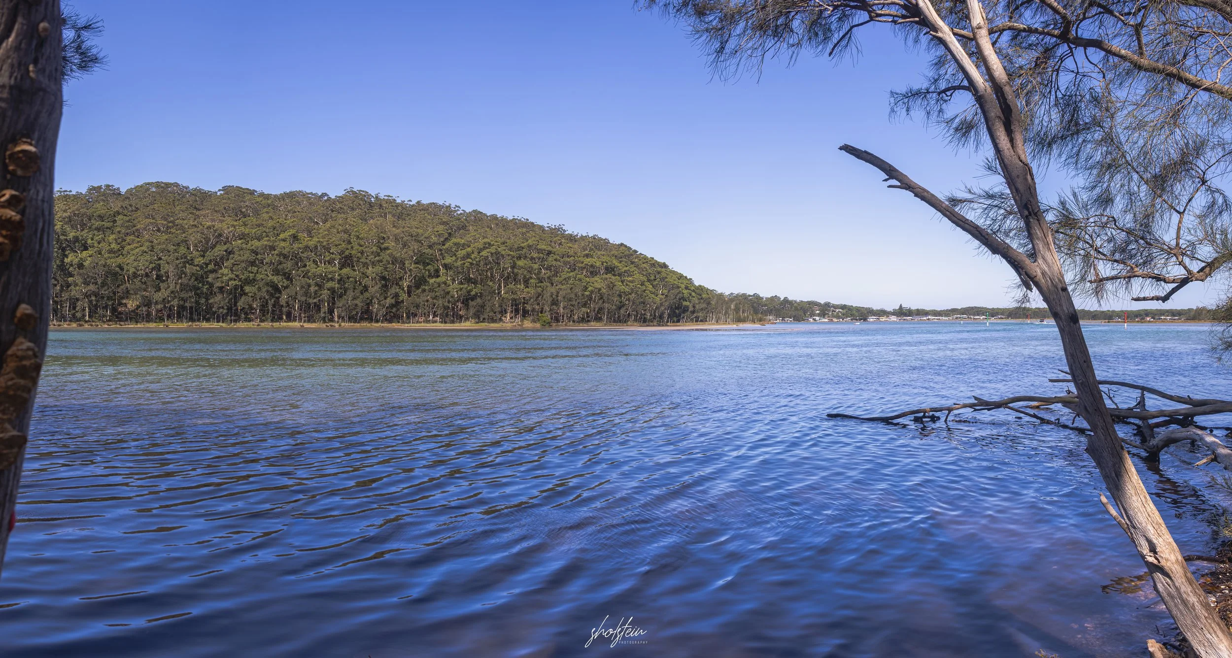 Mollymook 8-1-26-1-15-m.jpg