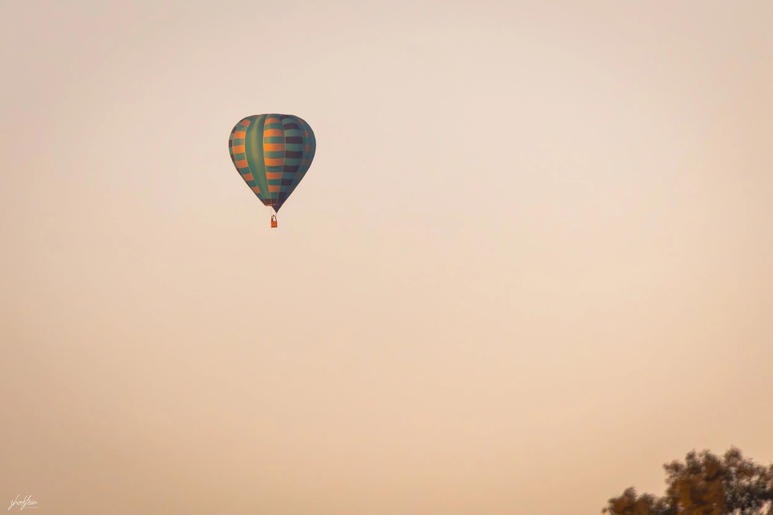 Hunter Valley 5-8-6-26-1-30-l.jpg