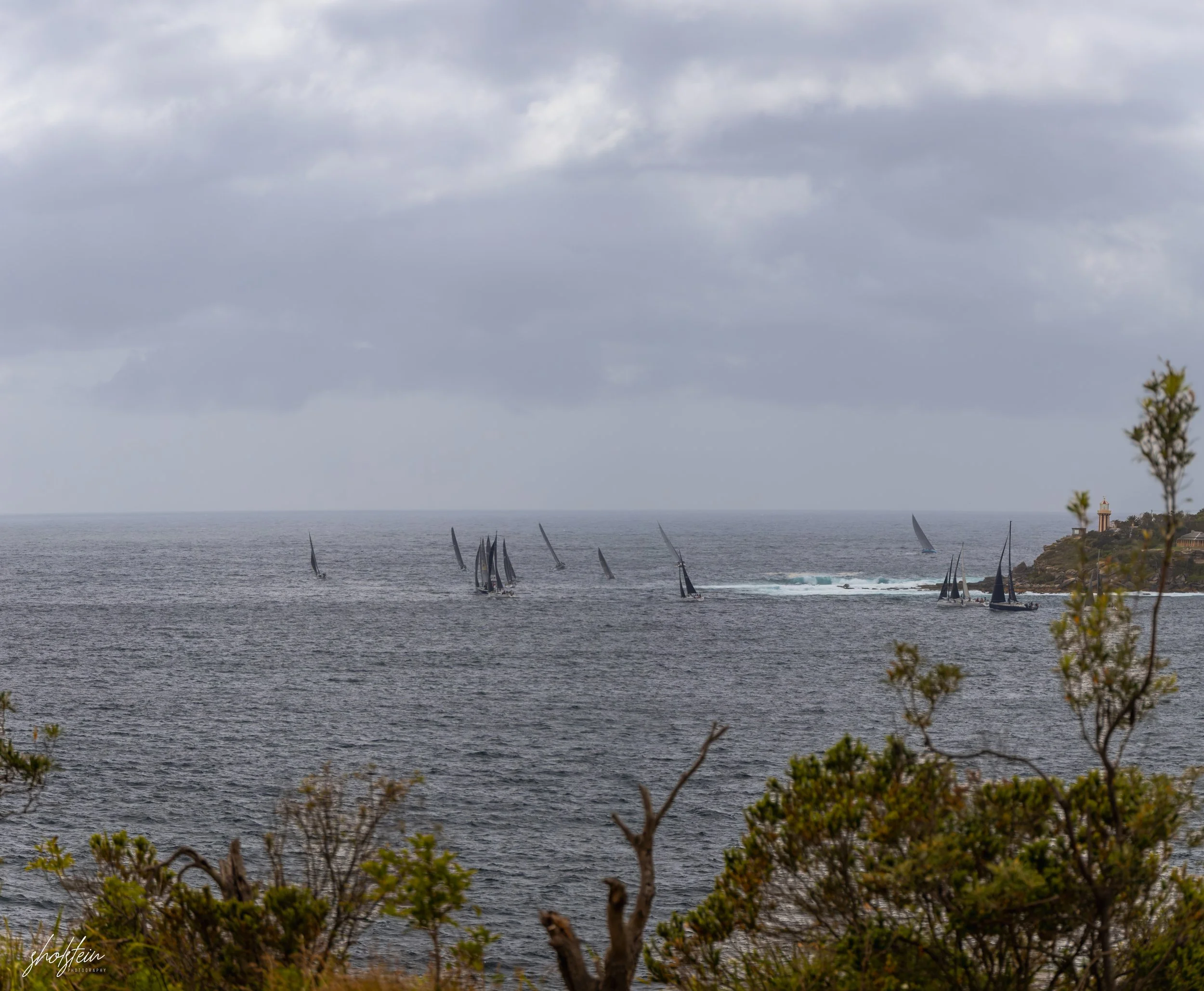 Australia Day 26-1-26-1-11-l.jpg