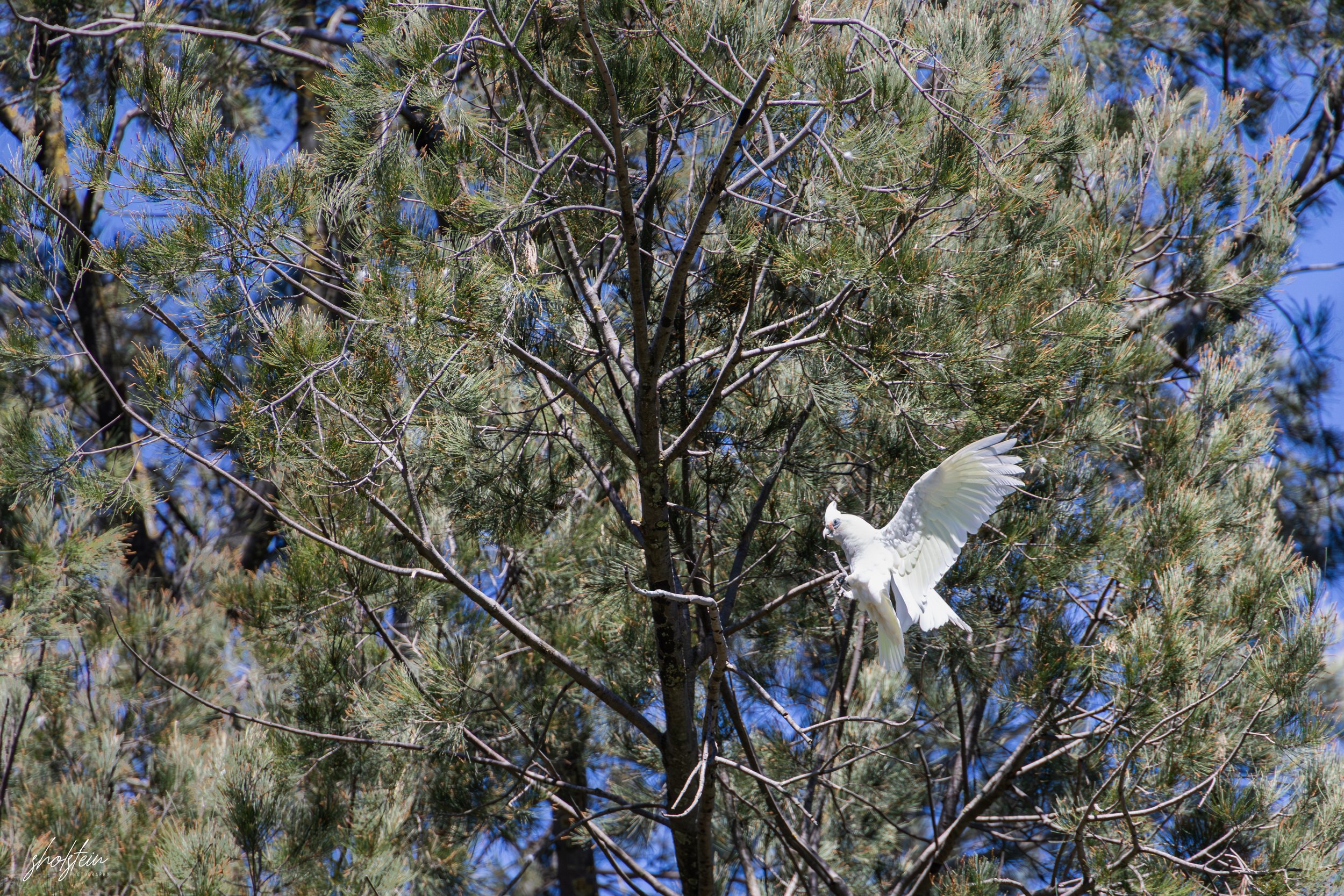 Bathurst 14-3-26-1-22-l.jpg