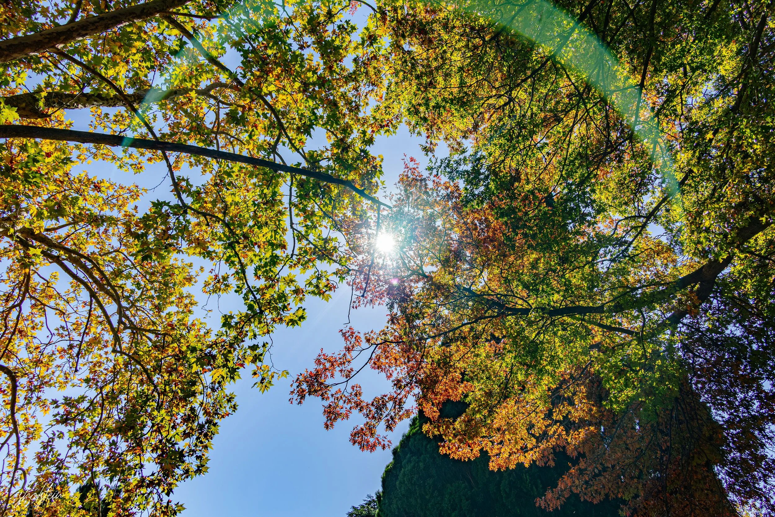 Bowral-Mittagong 26-4-26-1-m.jpg