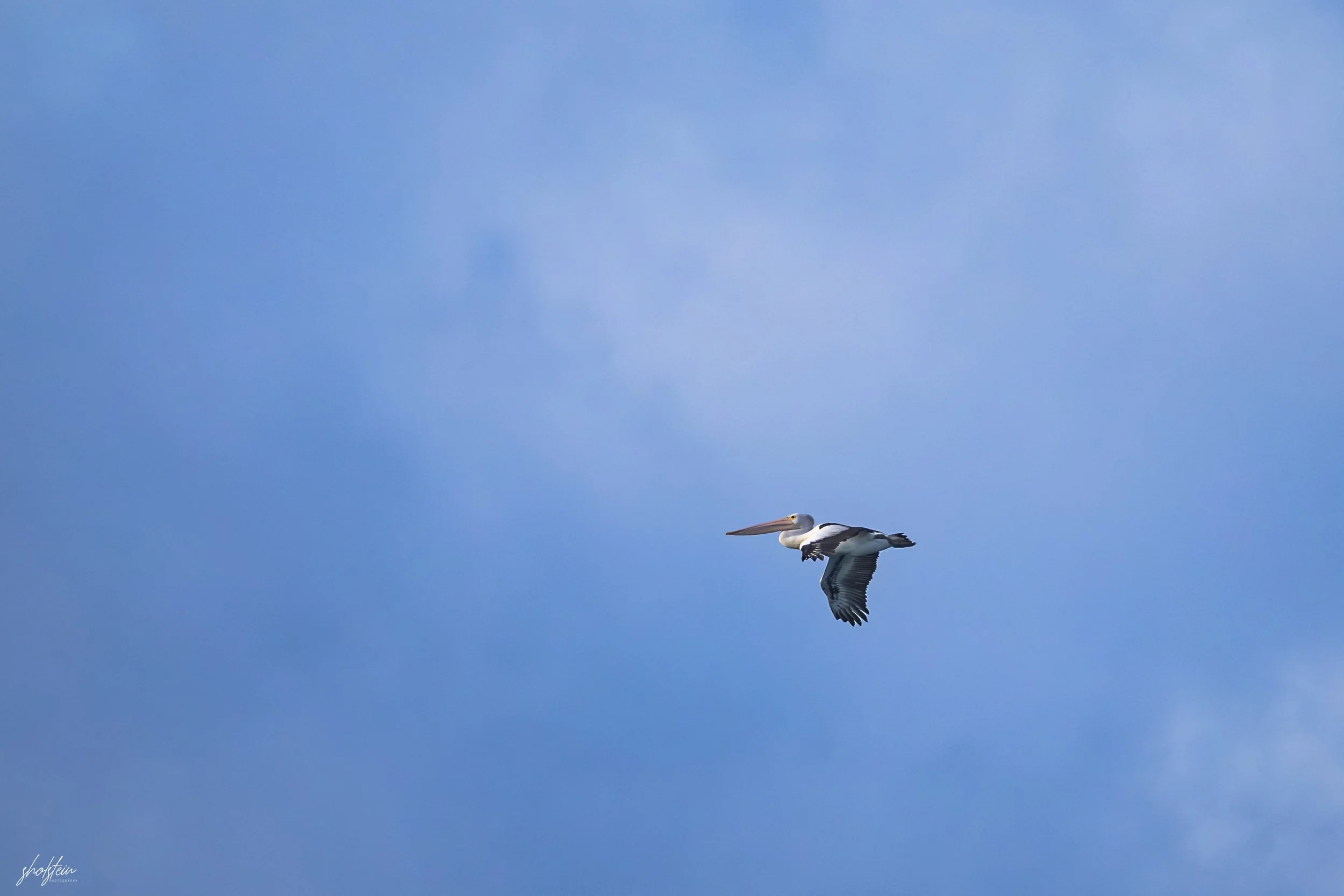 Gerringong 5-7-26-1-17-l.jpg