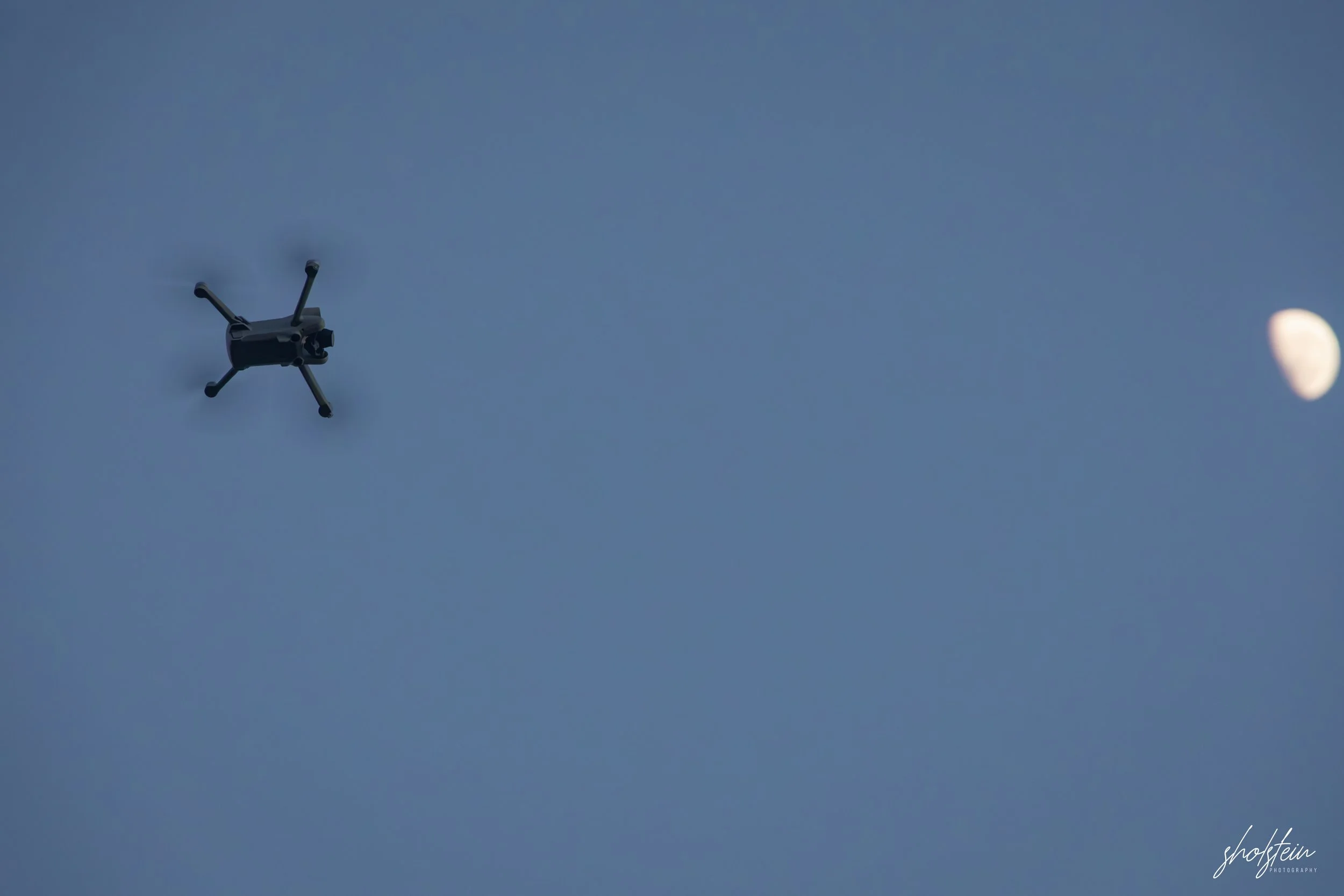 Mollymook 9-1-26-1-l.jpg