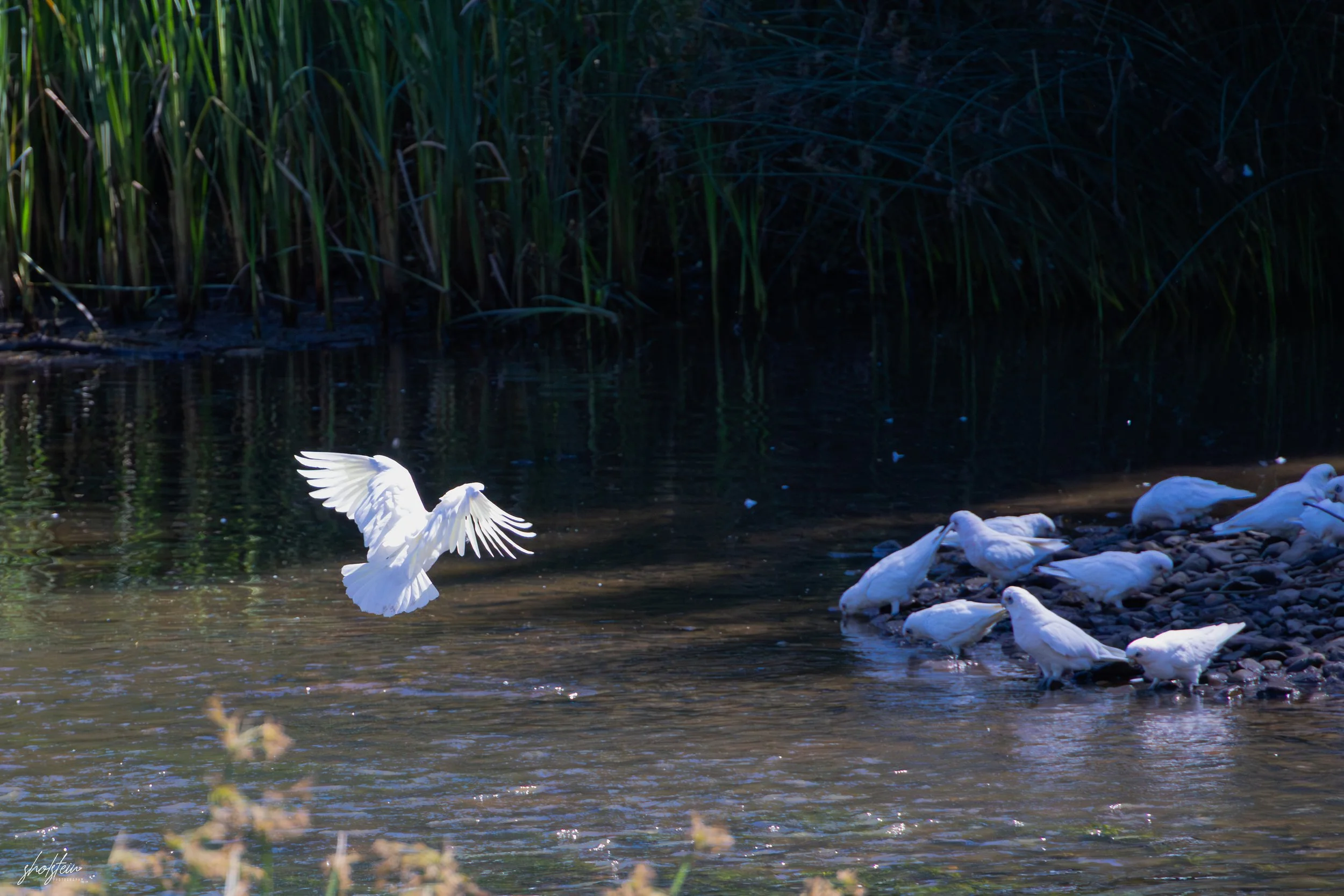Bathurst 14-3-26-1-16-l.jpg